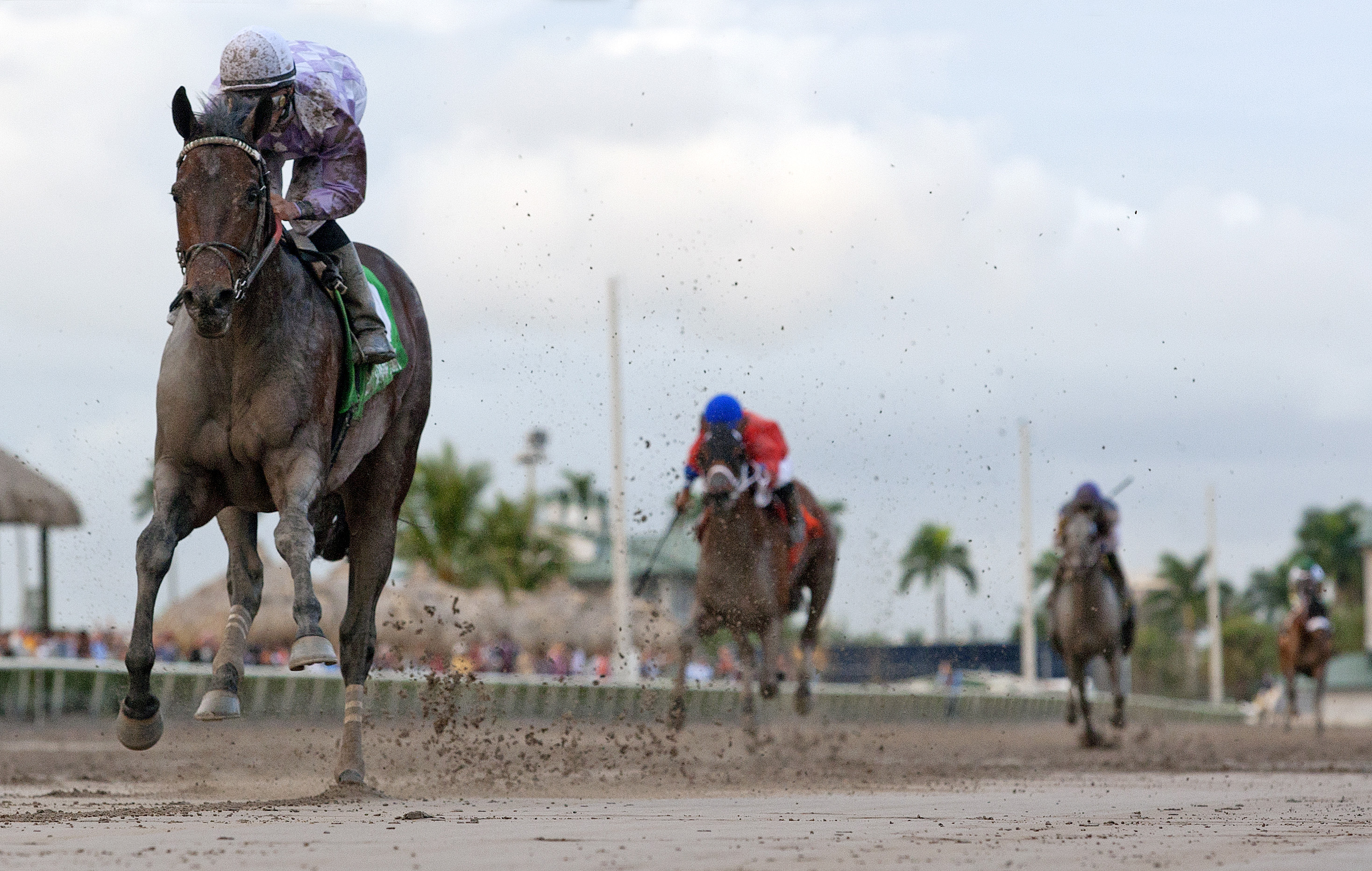 Ron the Greek, Sunshine Millions Classic