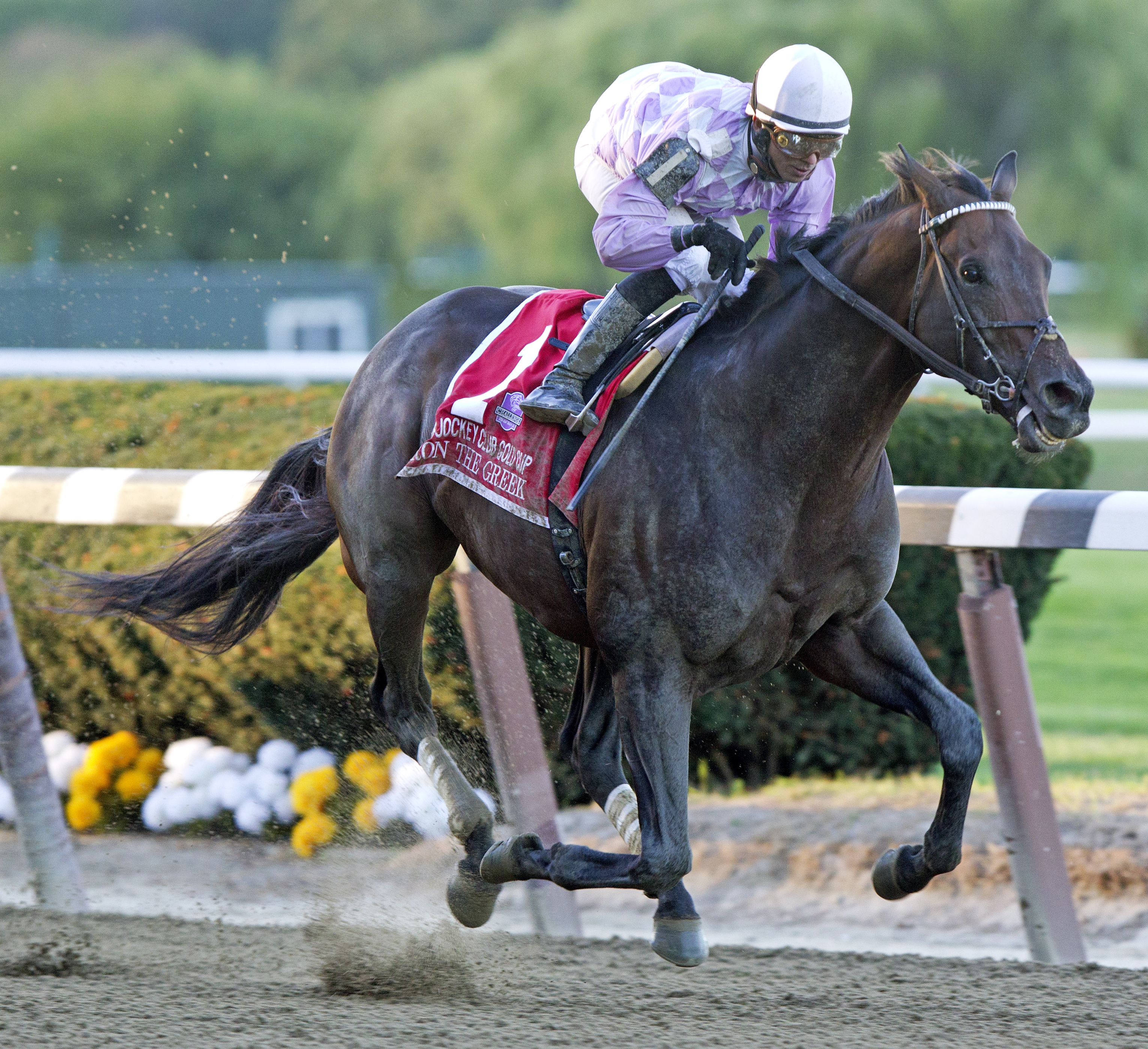 Ron the Greek, Jockey Club Gold Cup