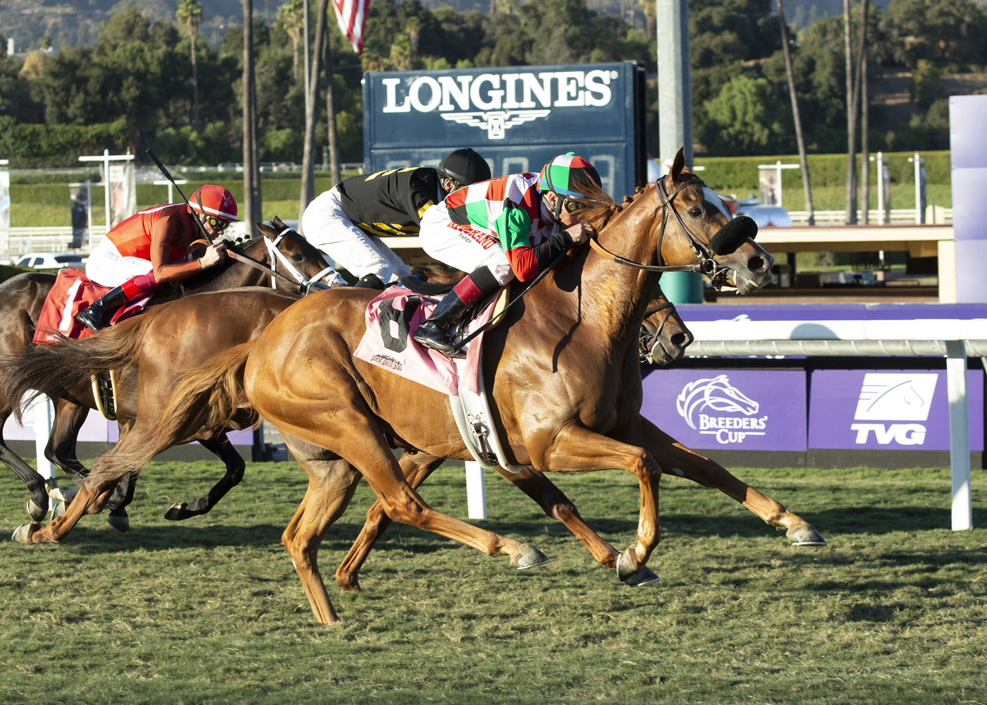 Ronald R wins the Lure Stakes at Santa Anita.BEN 10-31-2019