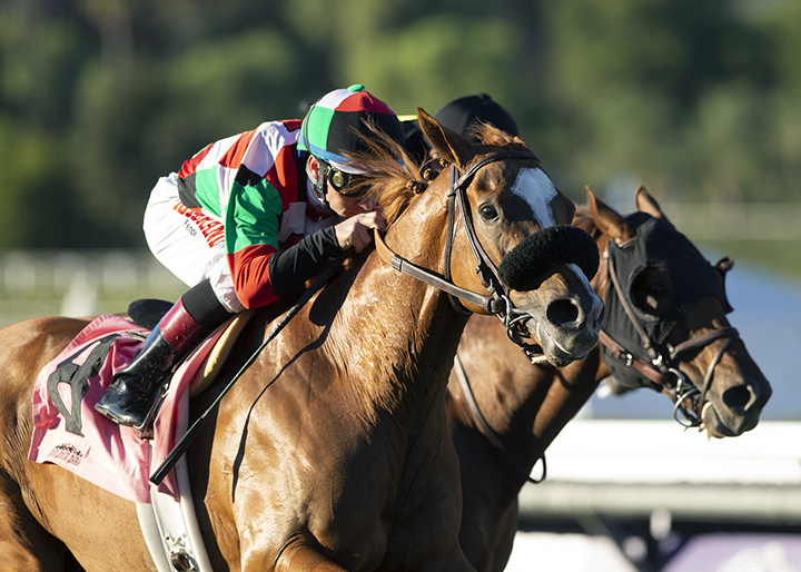 Ronald R wins the Lure Stakes at Santa Anita Park