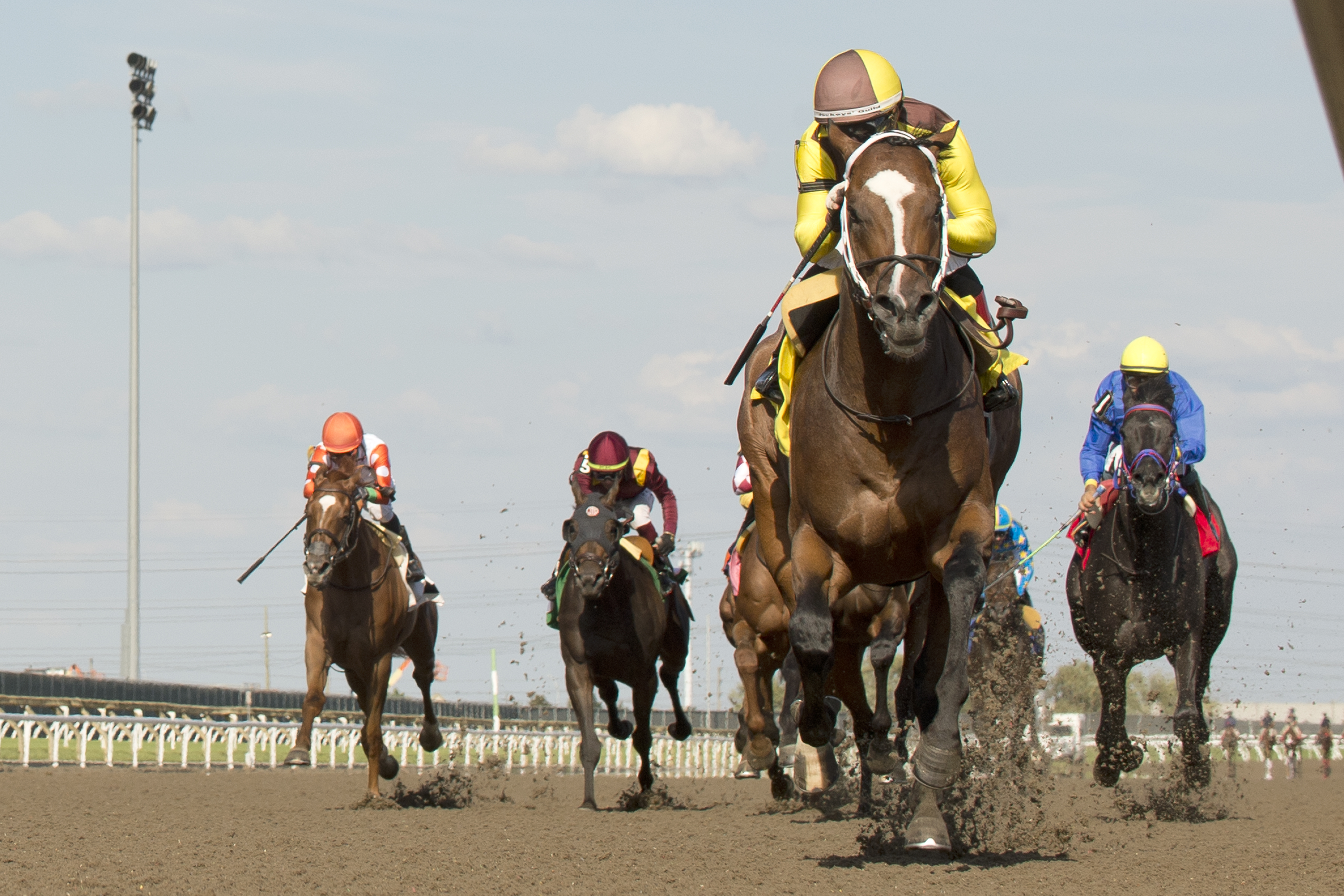 Rondure takes the Marine Stakes at Woodbine on July 2 2022