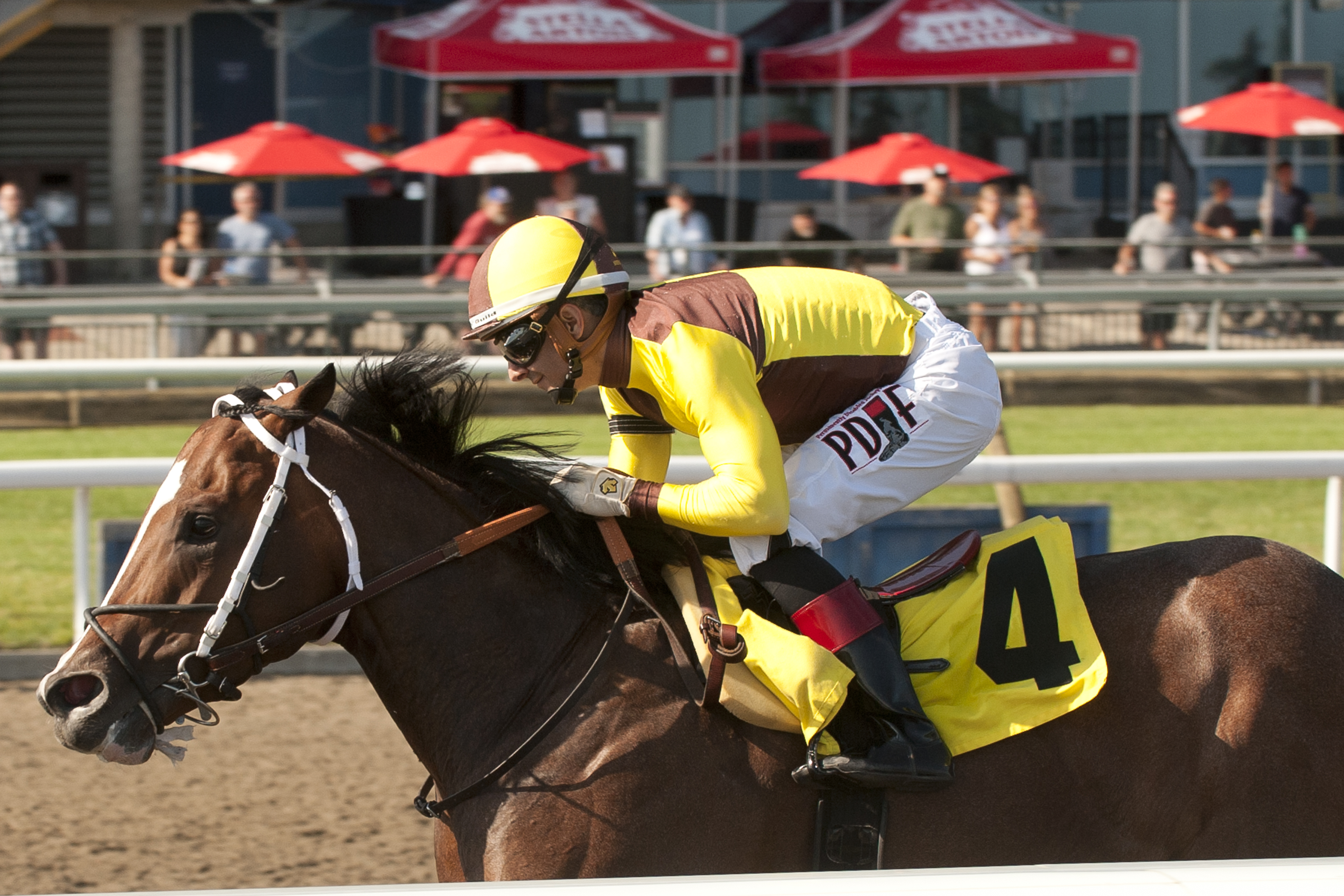 Rondure wins Marine Stakes at Woodbine on July 2 2022