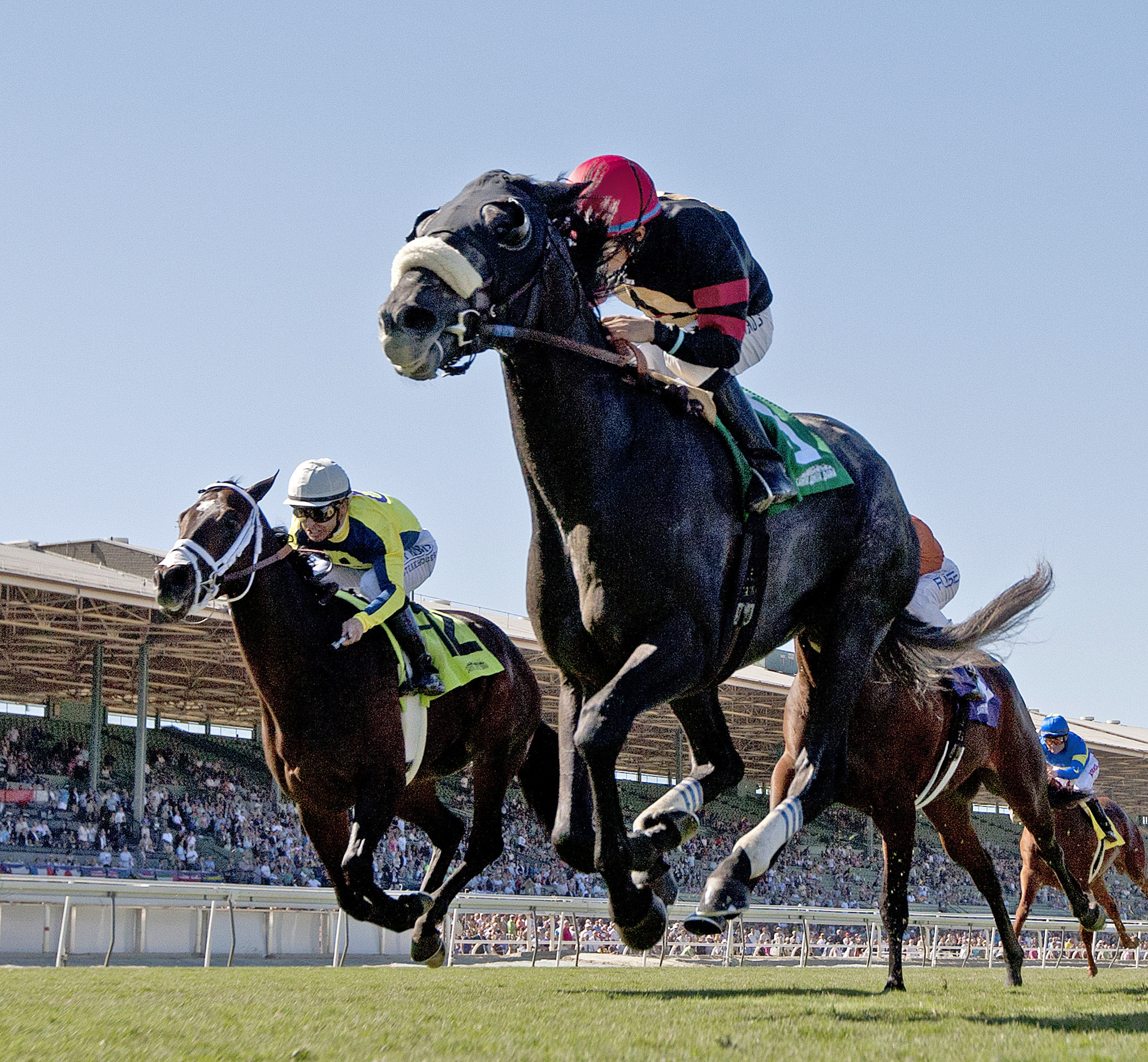 Rookie Sensation wins the Twilight Derby