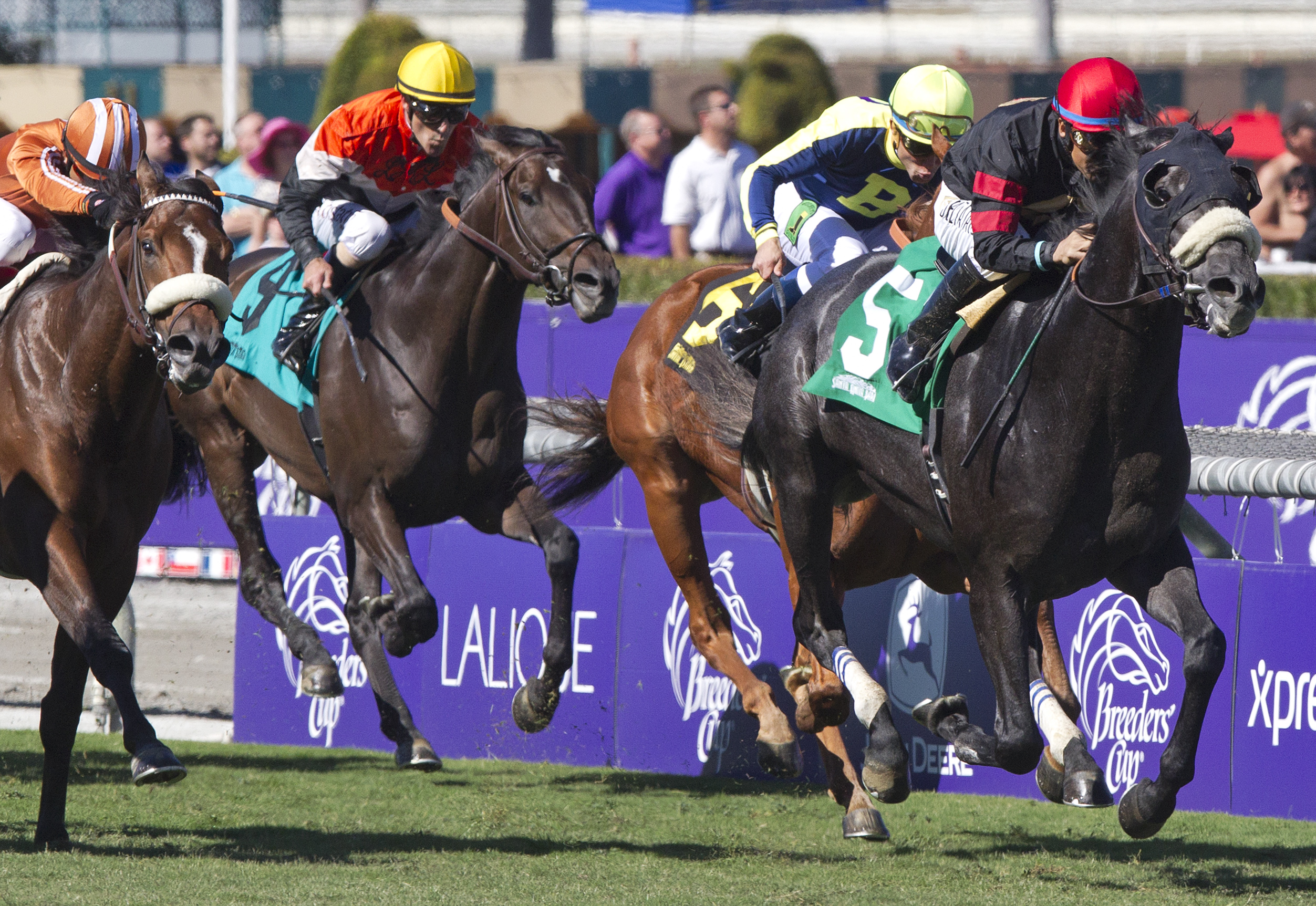 Rookie Sensation wins the Twilight Derby