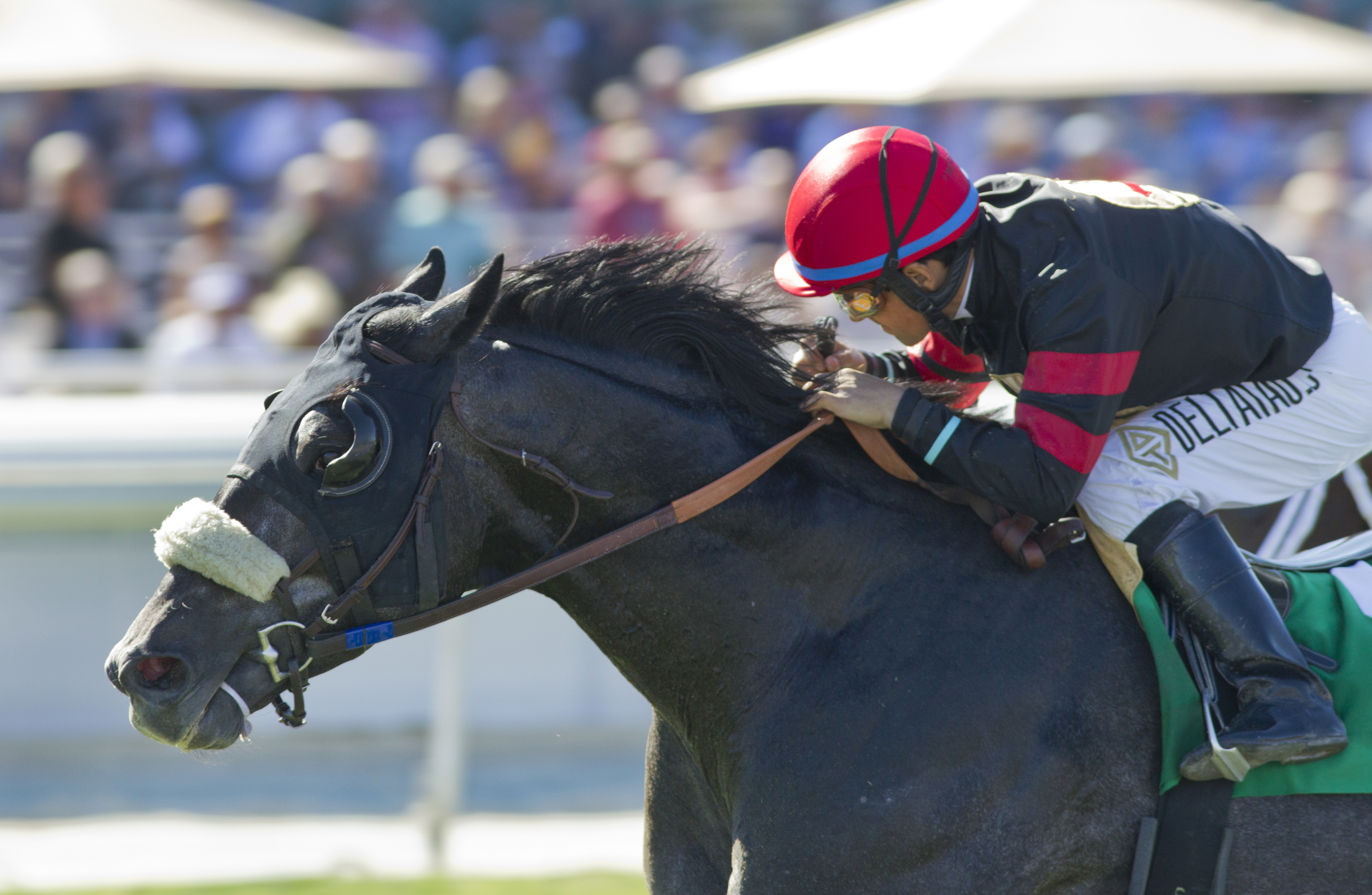 Rookie Sensation wins the Twilight Derby