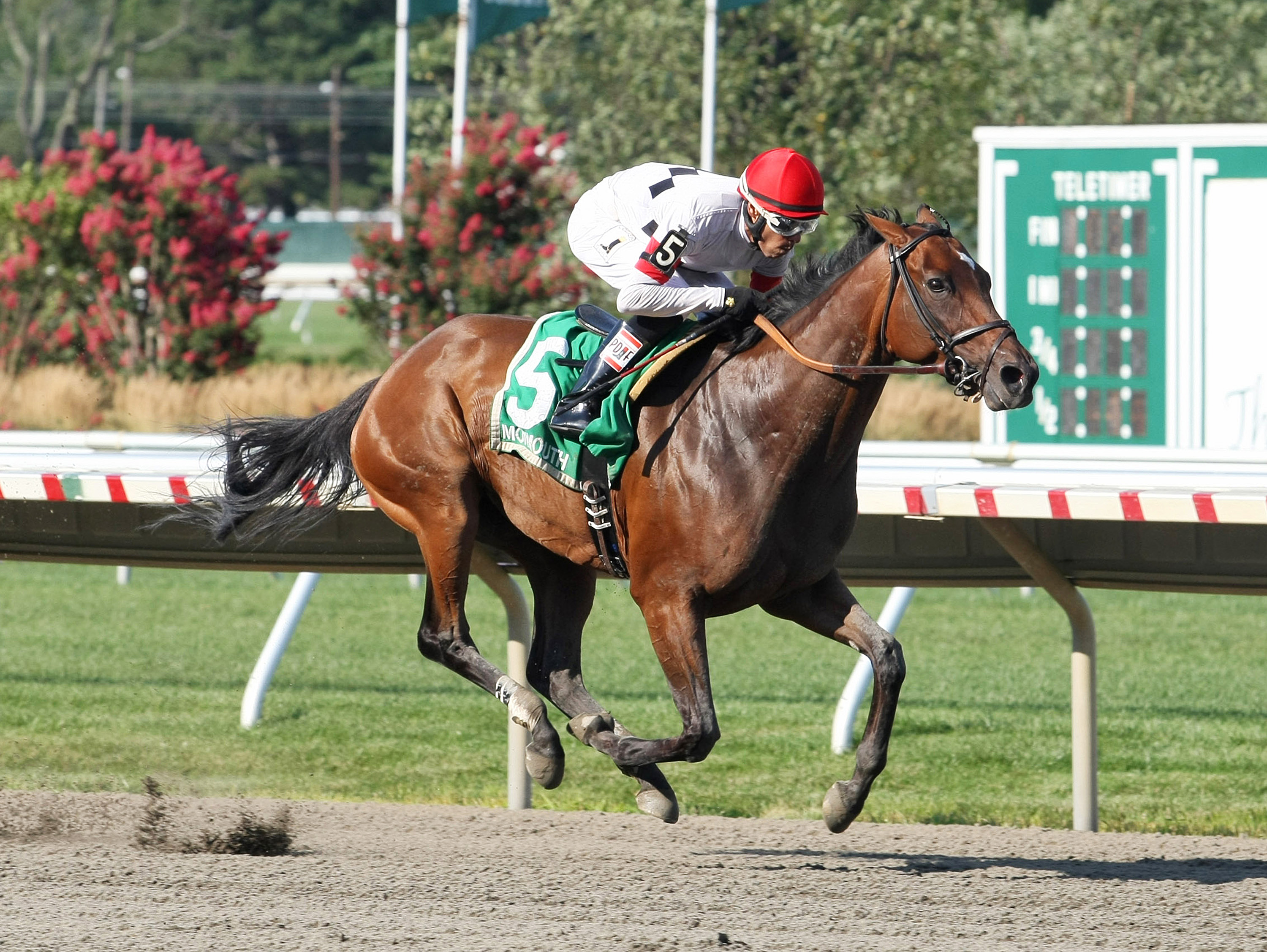 Room for Me wins the Regret Stakes