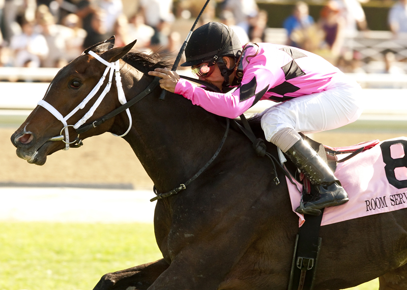 Room Service wins 2014 American Oaks