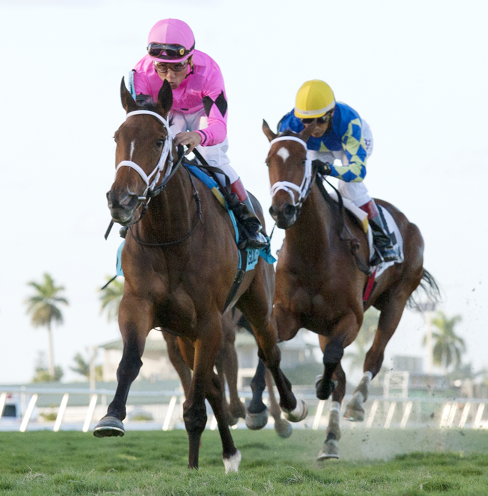 Room Service wins the Herecomesthebride