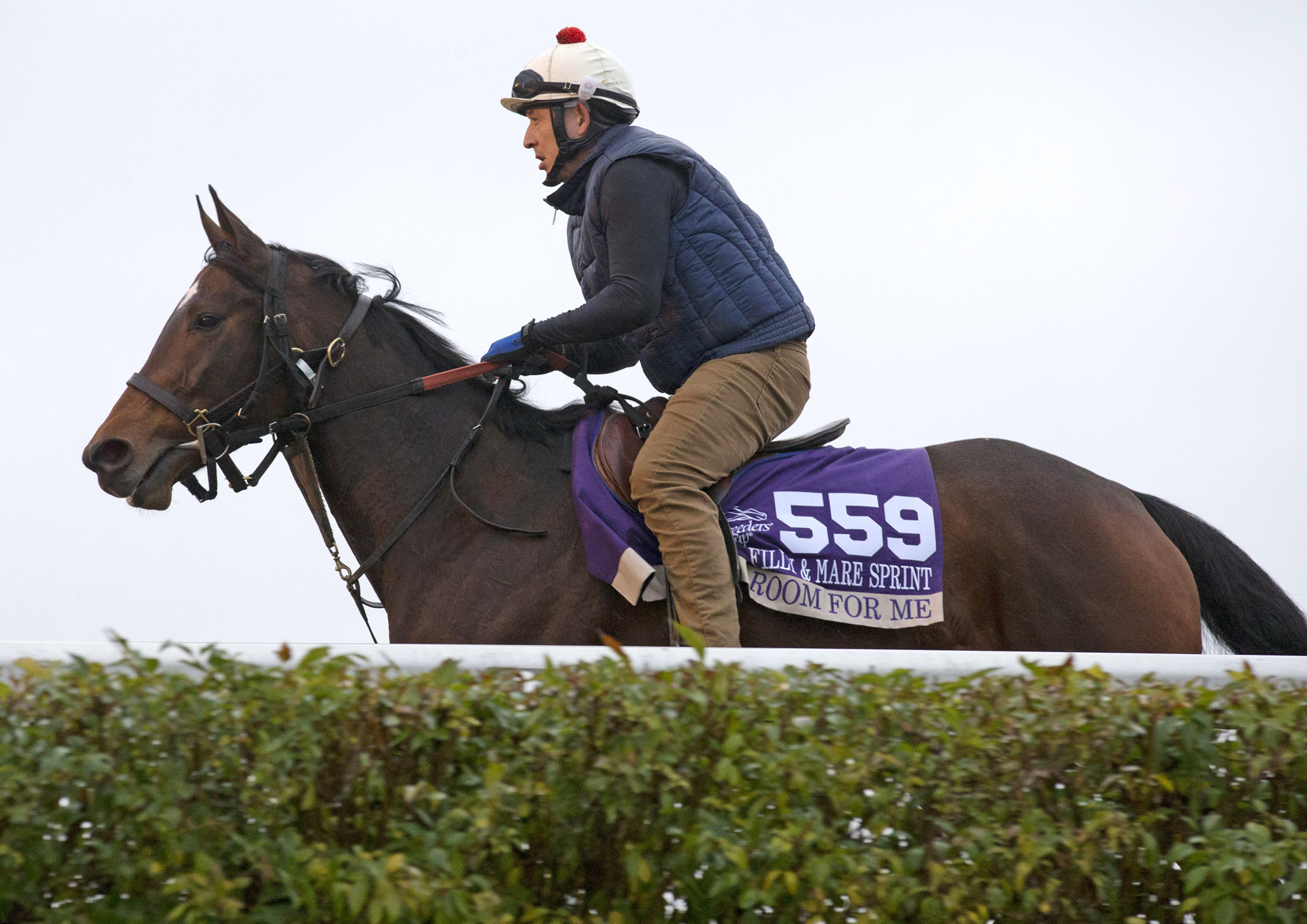 Room for Me at Keeneland on Oct. 27
