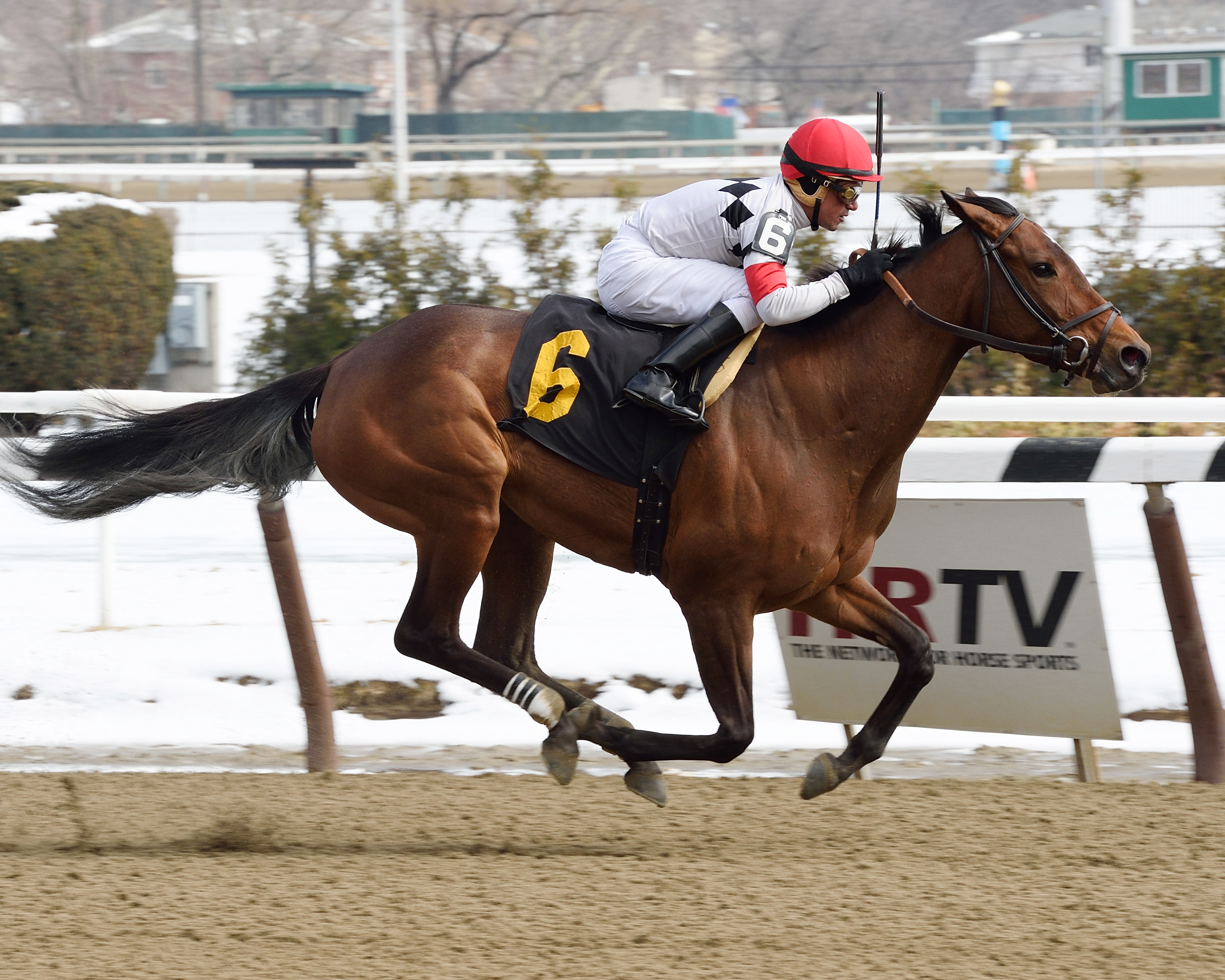 Room for Me wins the Garland of Roses