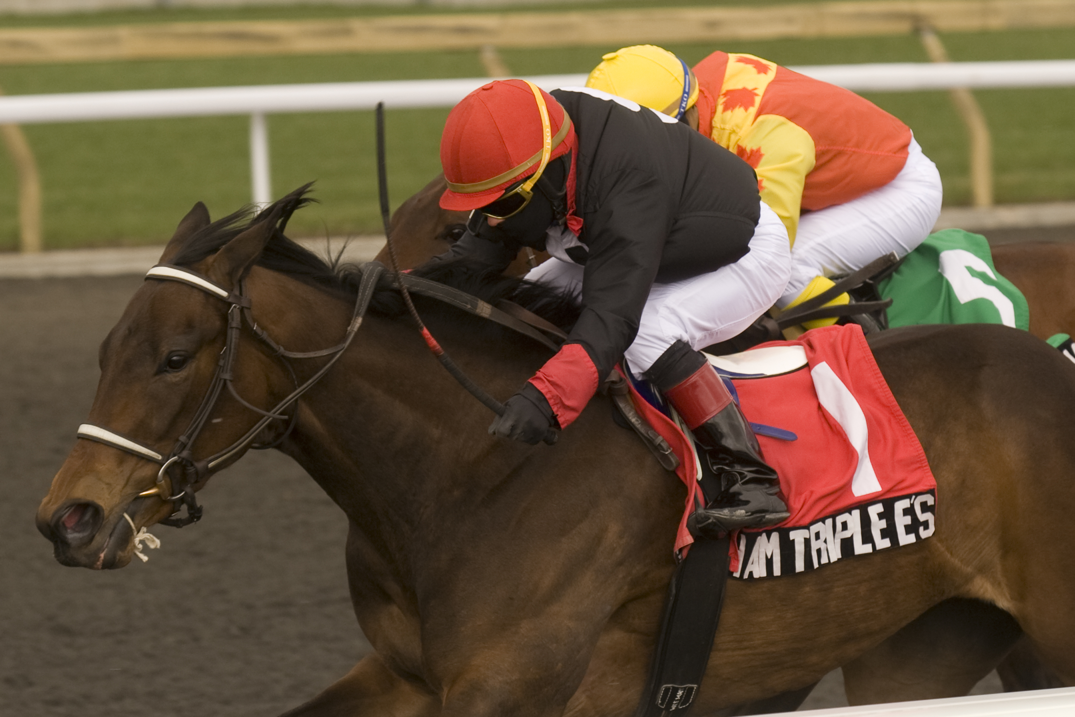 Rootham Triple E's, Star Shoot Stakes