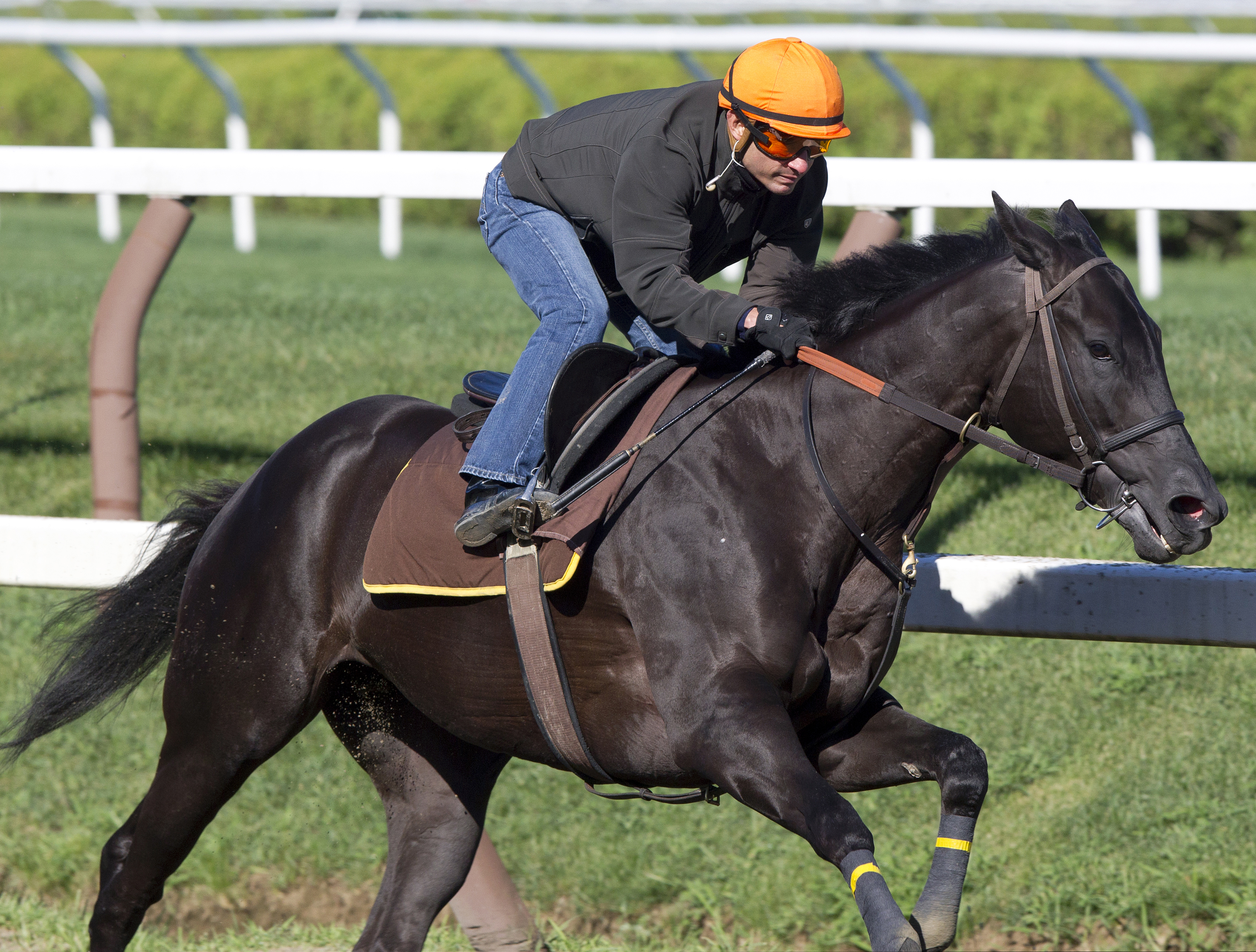 Rosa Salvaje training