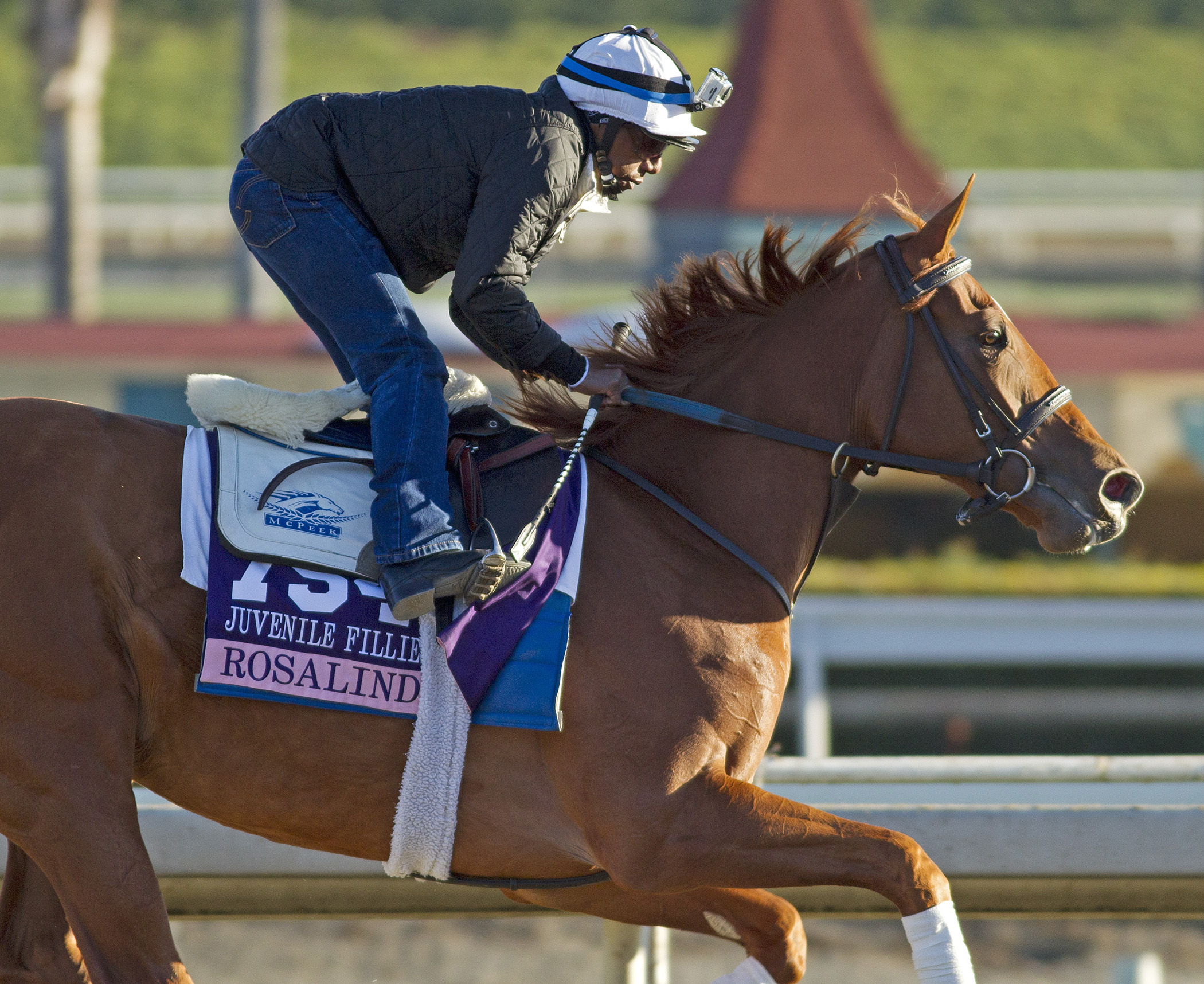 Rosalind training