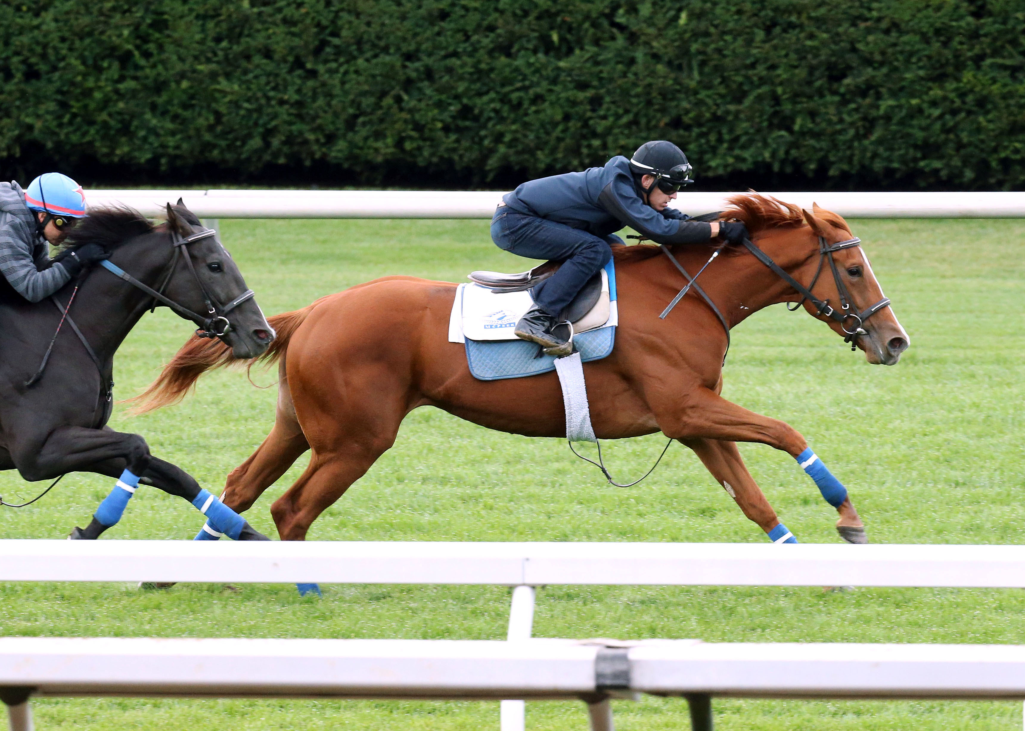 Rosalind works five furlongs at Keeneland in October
