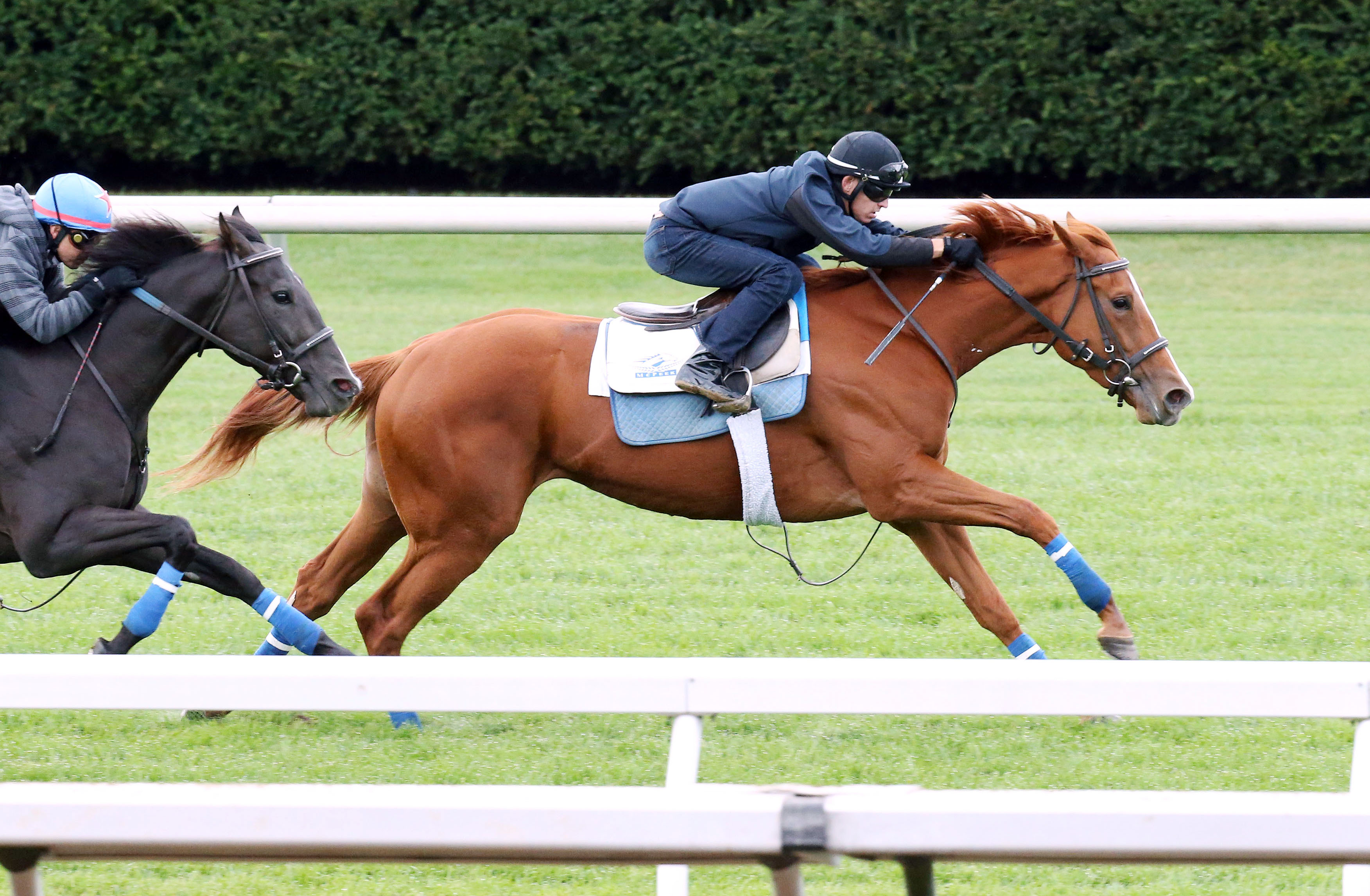 Rosalind works five furlongs at Keeneland in October