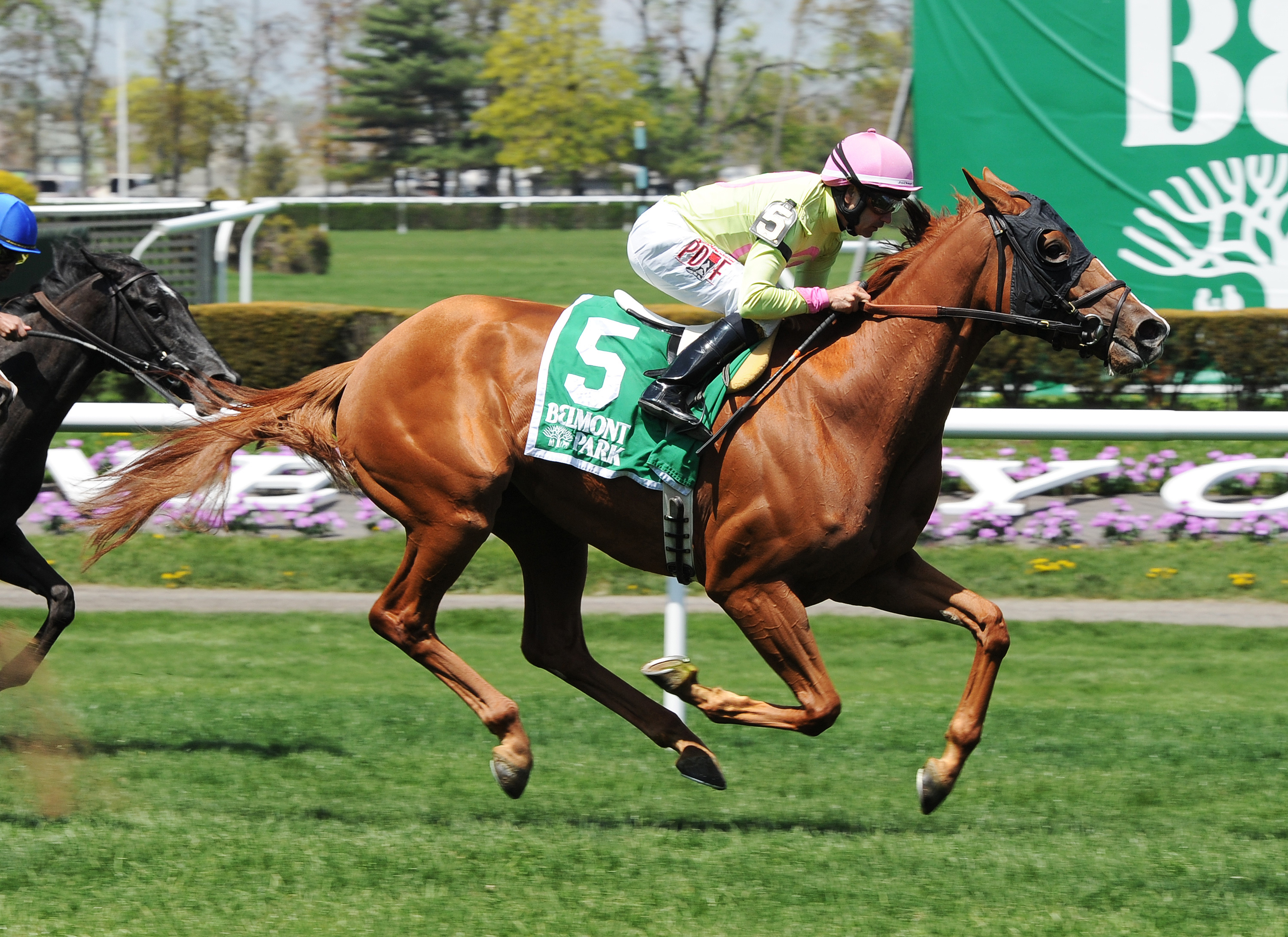 Rosalind wins the Sheepshead Bay