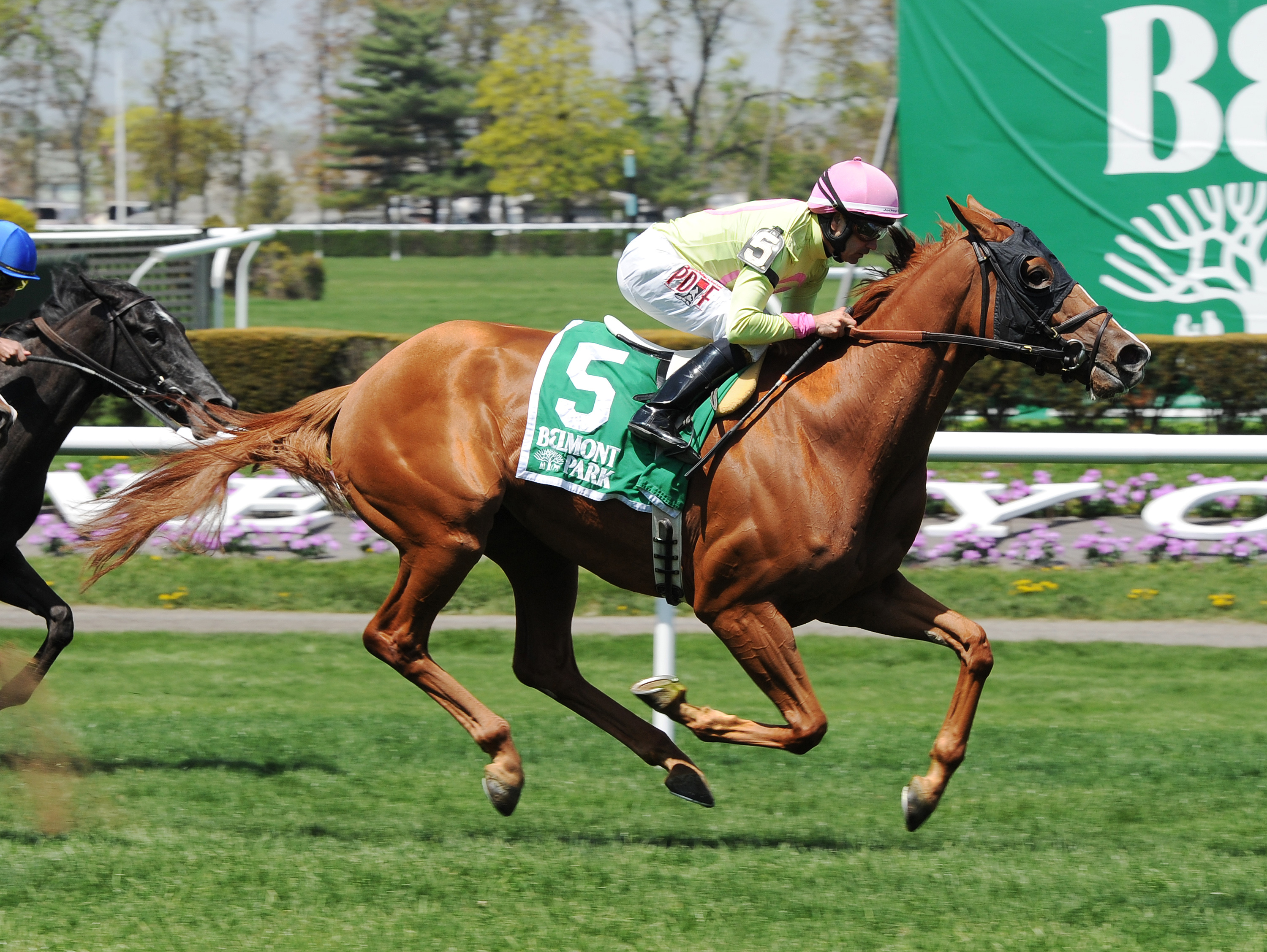 Rosalind wins the Sheepshead Bay