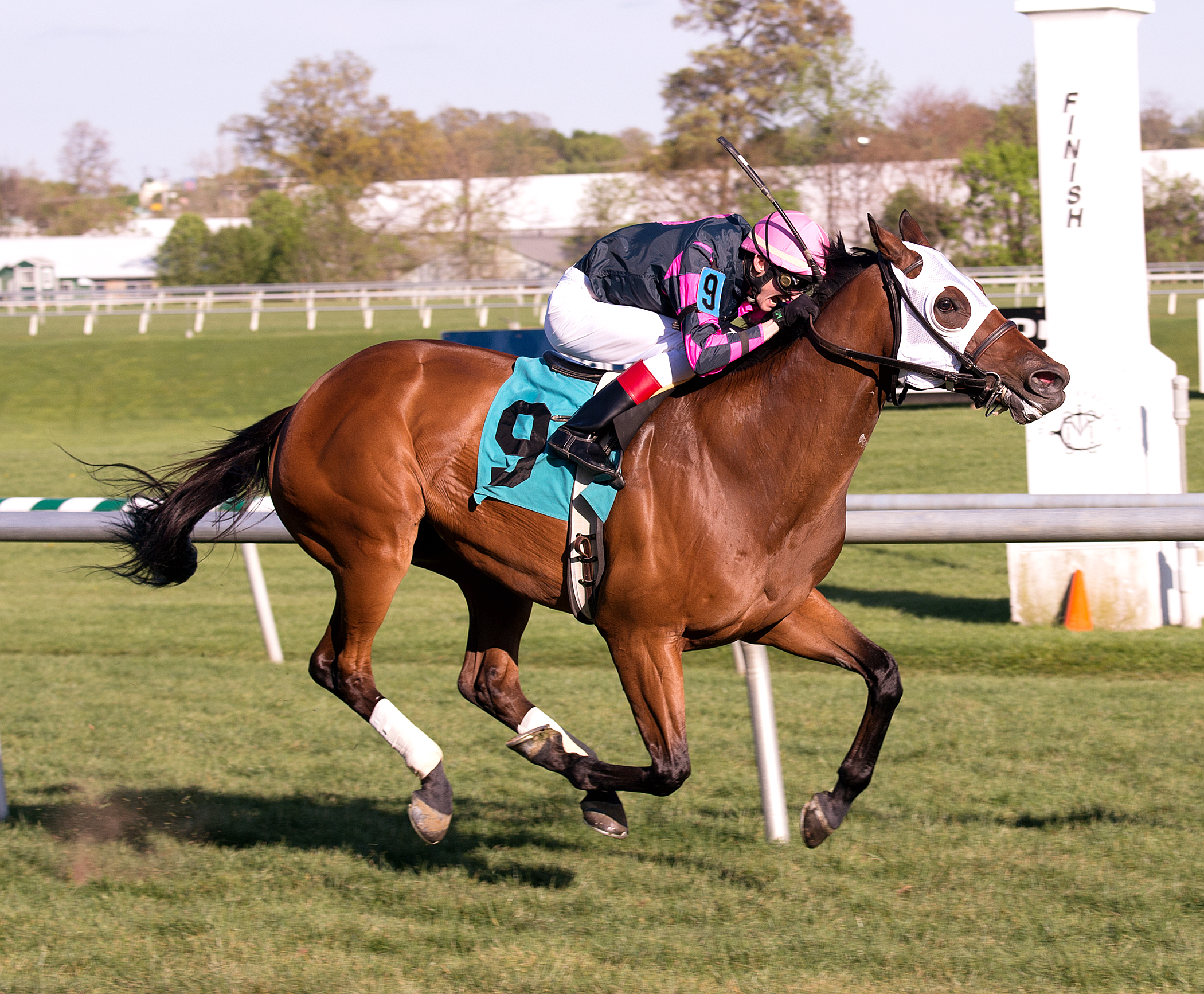 Rose Brier 4-23-2016