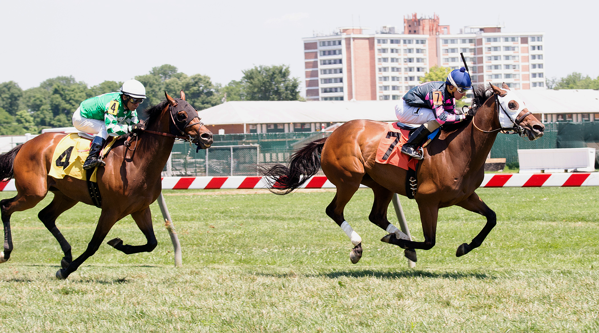 Rose Brier wins the 2016 Edward P. Evans Stakes