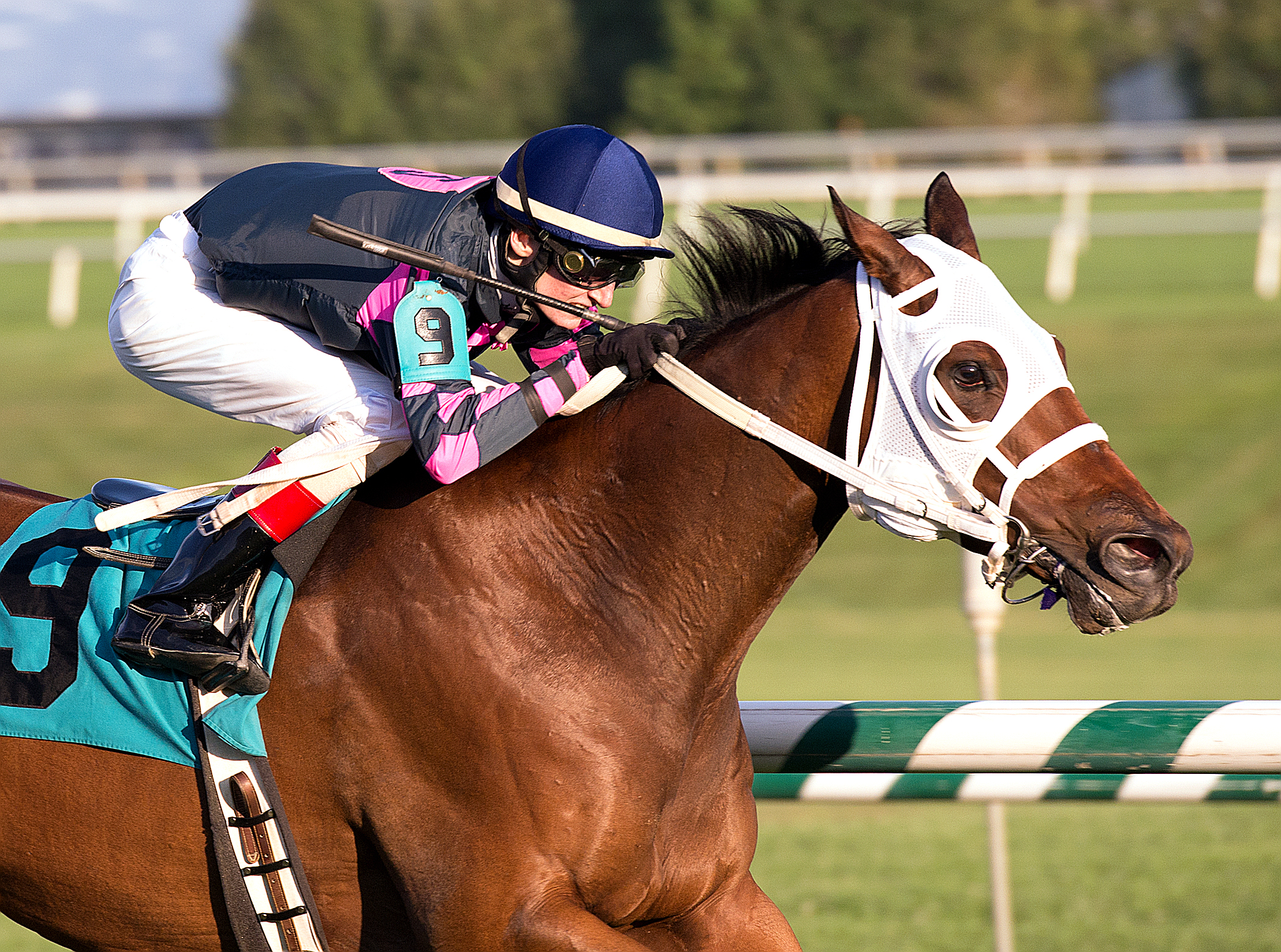 Rose Brier wins the 2014 Bert Allen Stakes