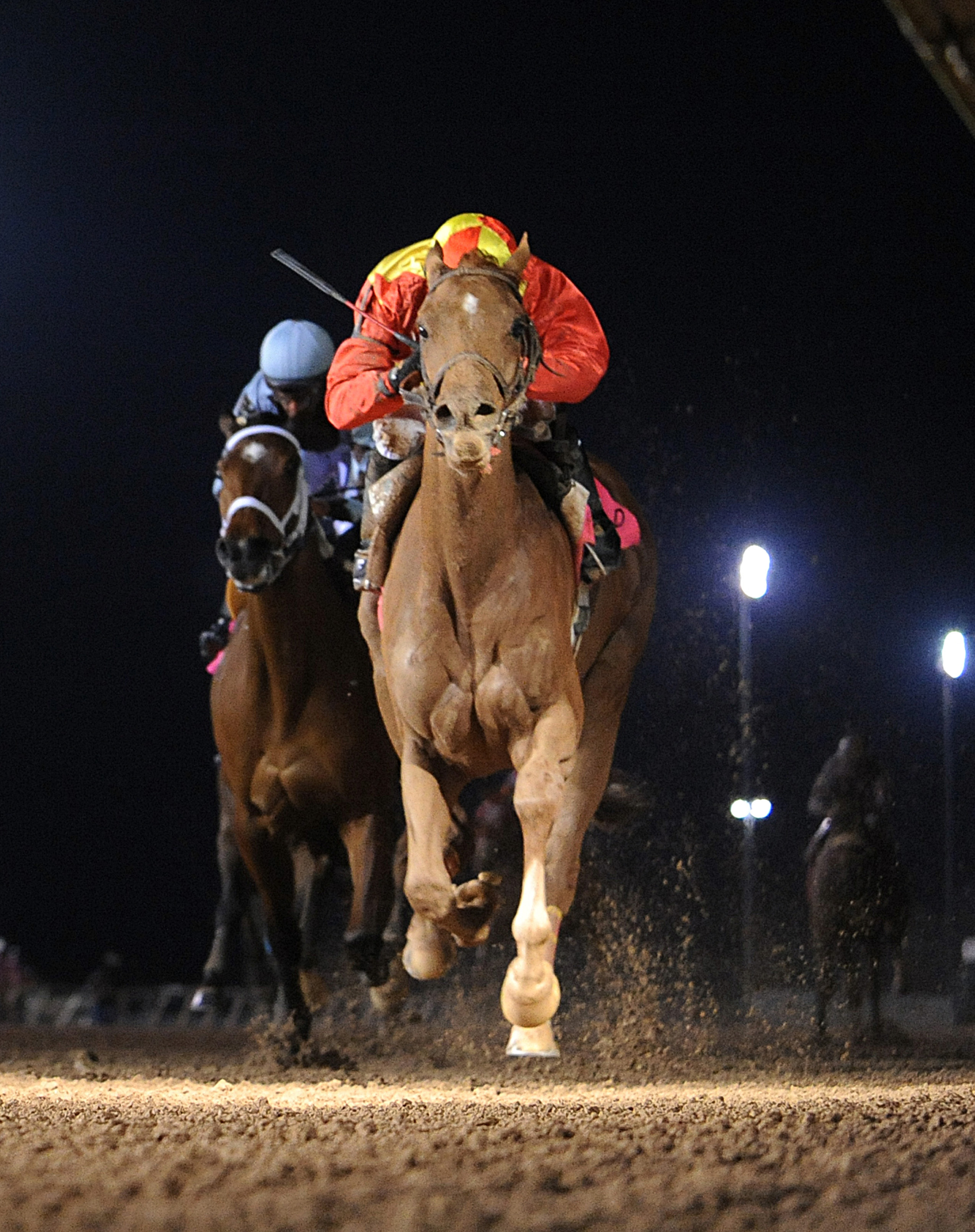 Rose to Gold wins the Houston Ladies Classic