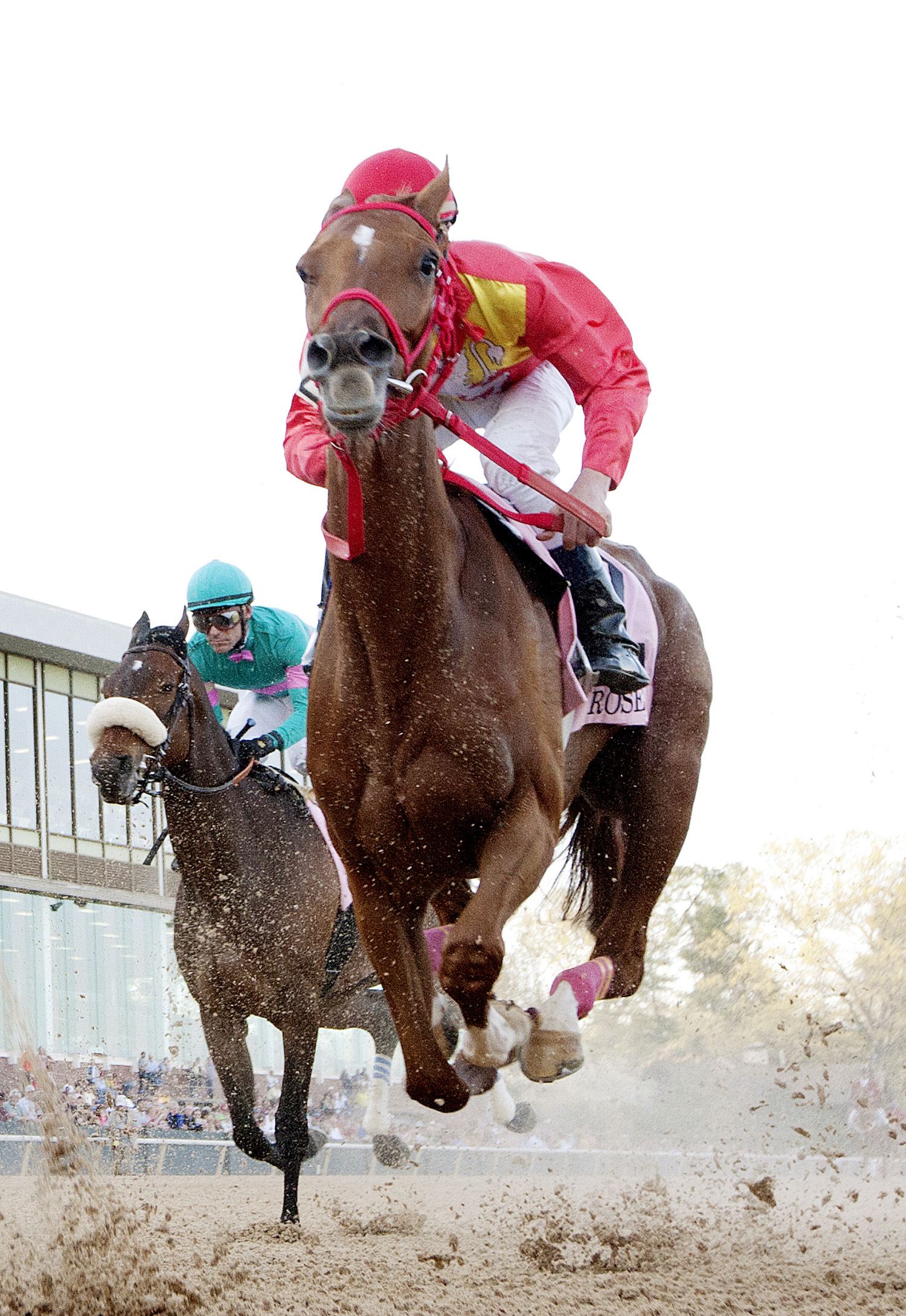 Rose to Gold finishes fifth in the Apple Blossom