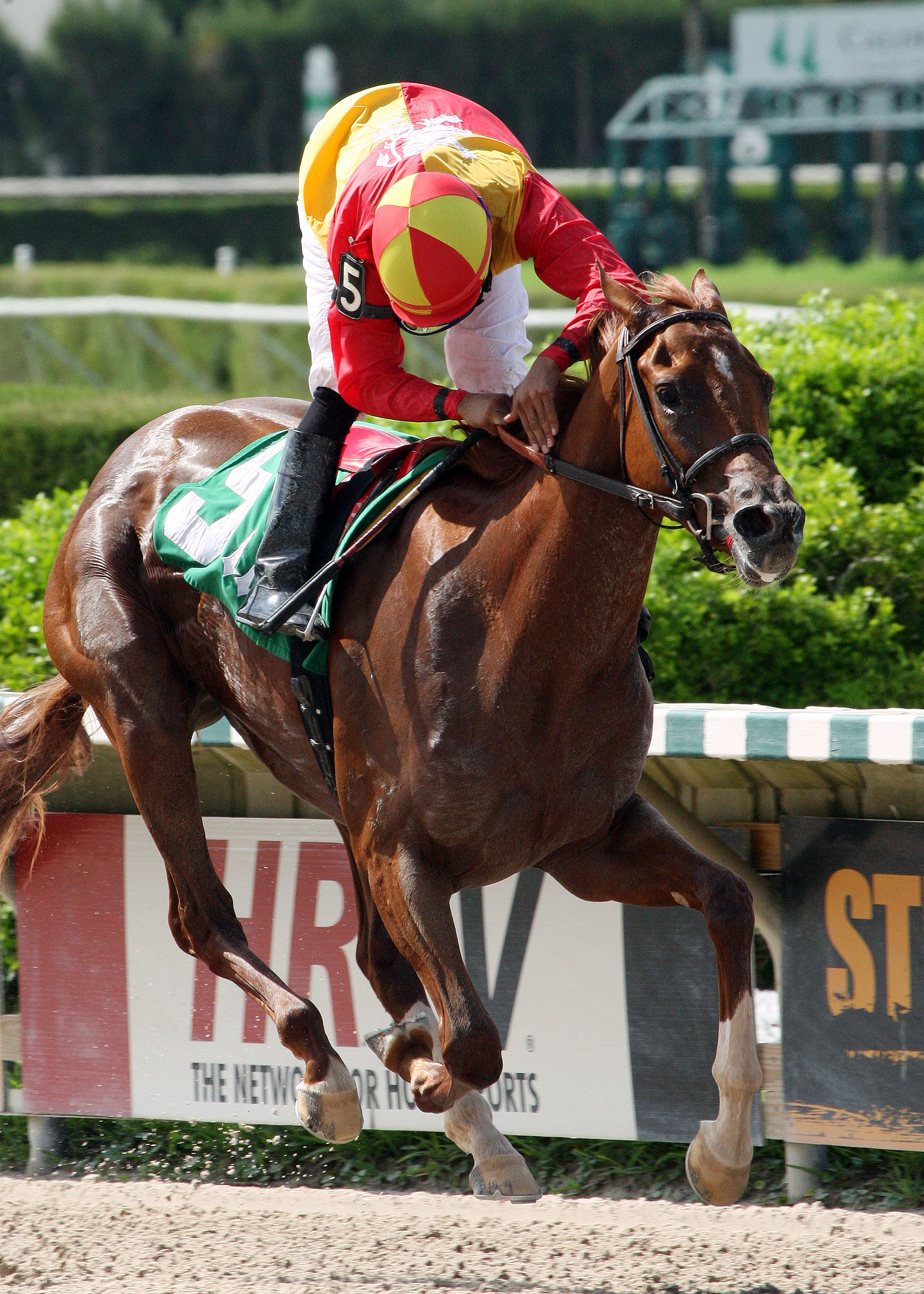 Rose to Gold/Brave Raj Stakes