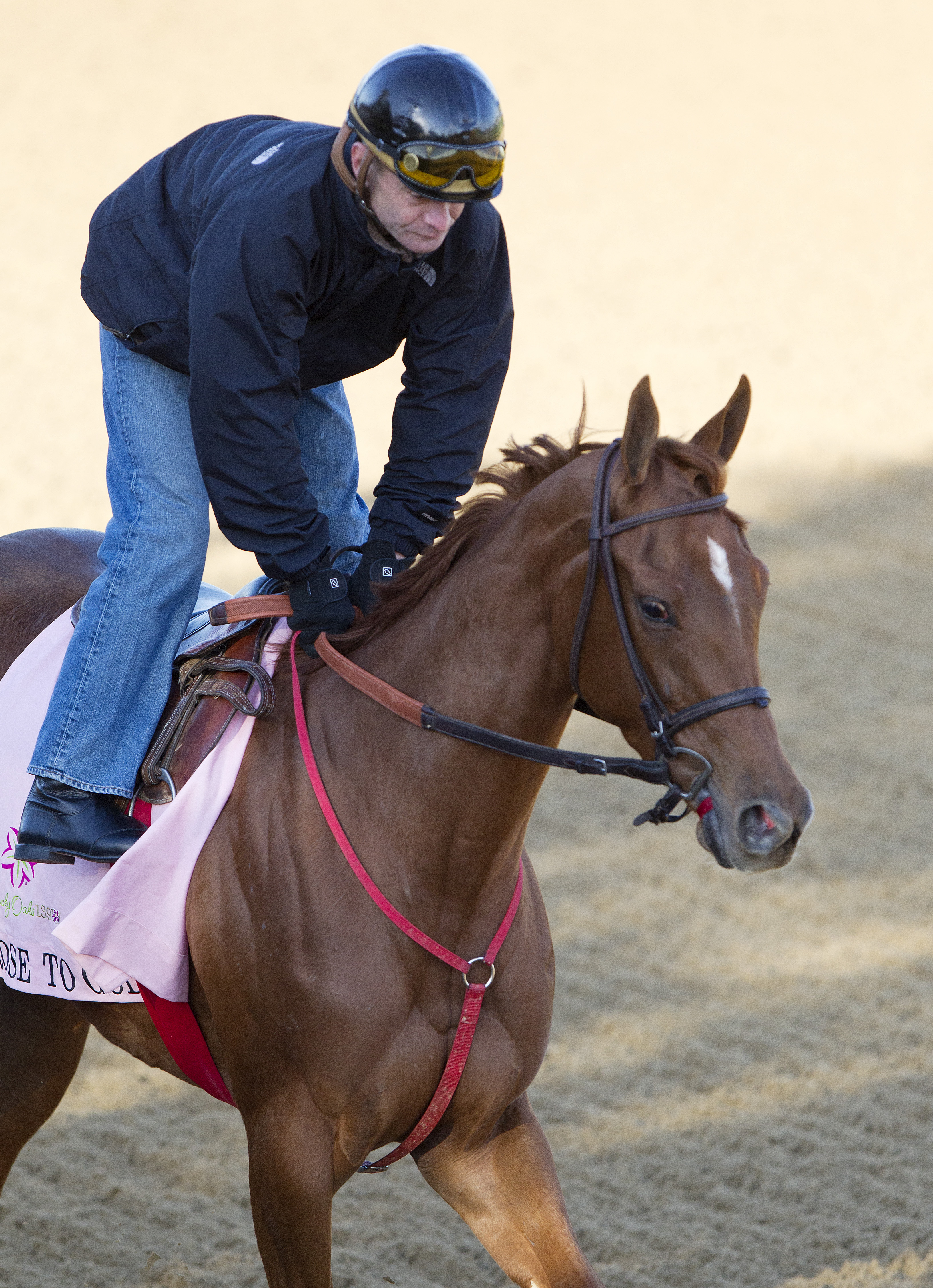 Kentucky Oaks: Rose to Gold is this year's Cinderella candidate