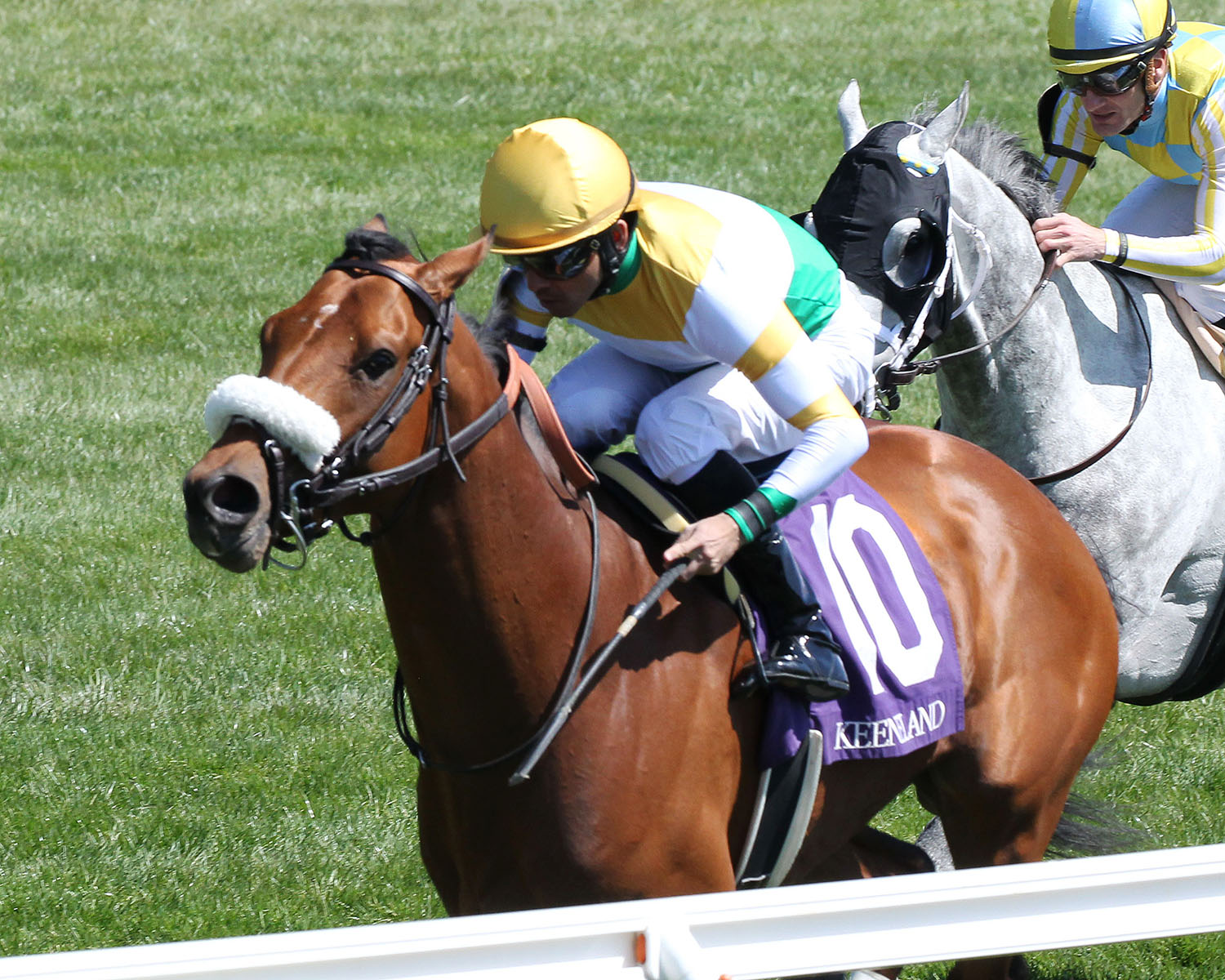 Rose's Vision wins an April 12 allowance race