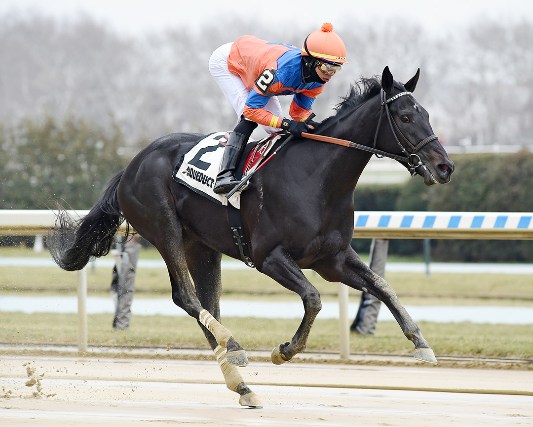 Rosebug wins a Dec. 30 maiden at Aqueduct Racetrack