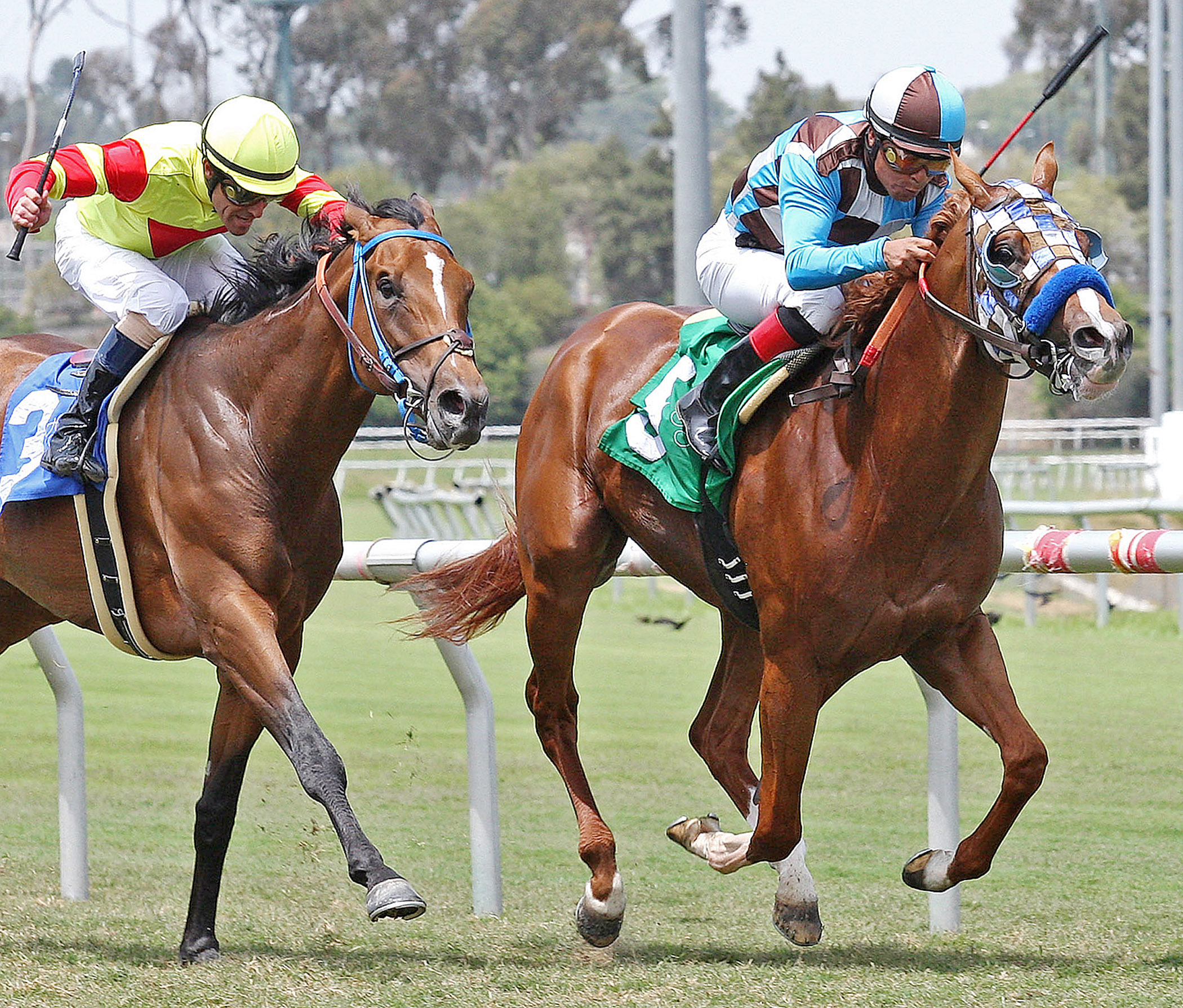 Rosengold, Tsunami Slew Stakes