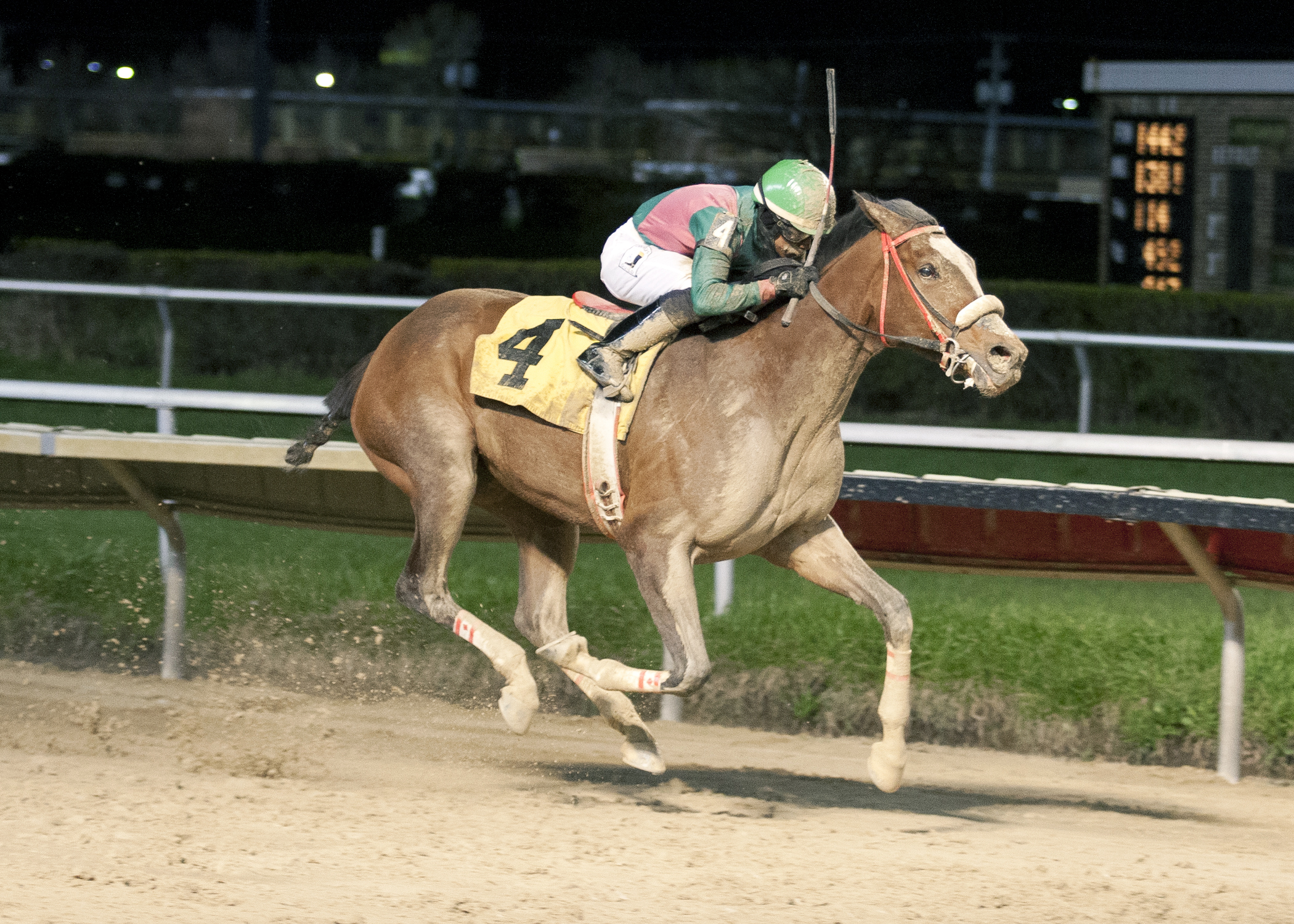 Rosie My Rosie wins the 2015 Peach of It Stakes