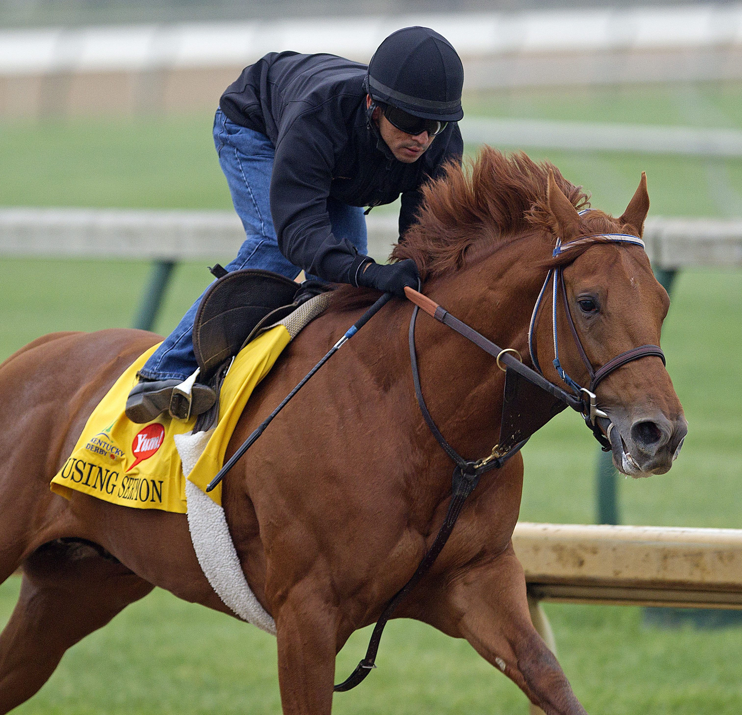 Hollywood Park: Rousing Sermon may be back for Belmont Stakes