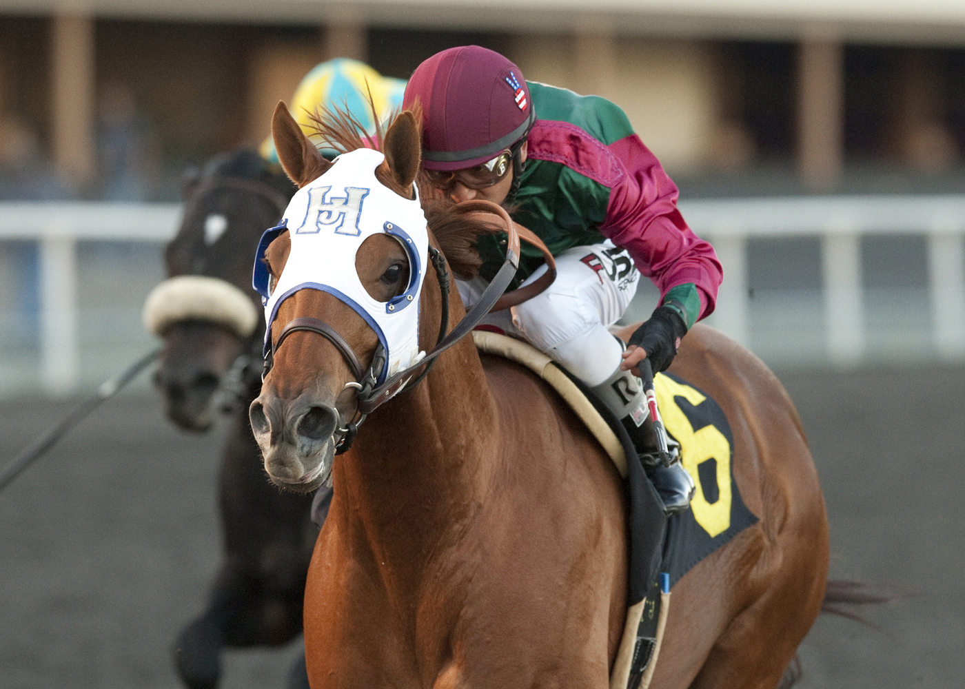 Rousing Sermon wins the On Trust Handicap