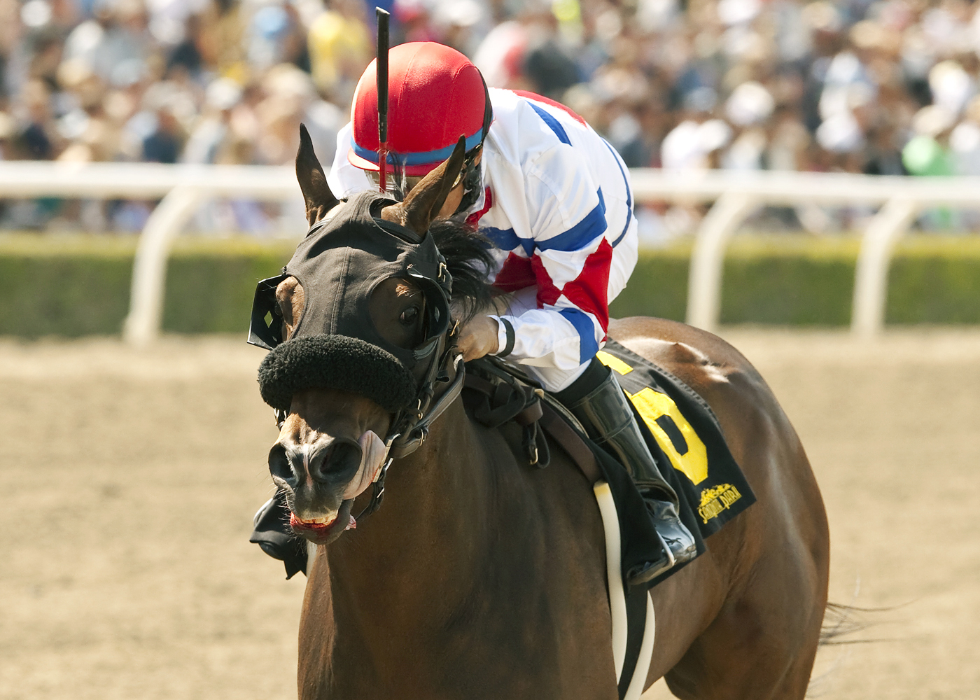 Rovenna wins the Evening Jewel
