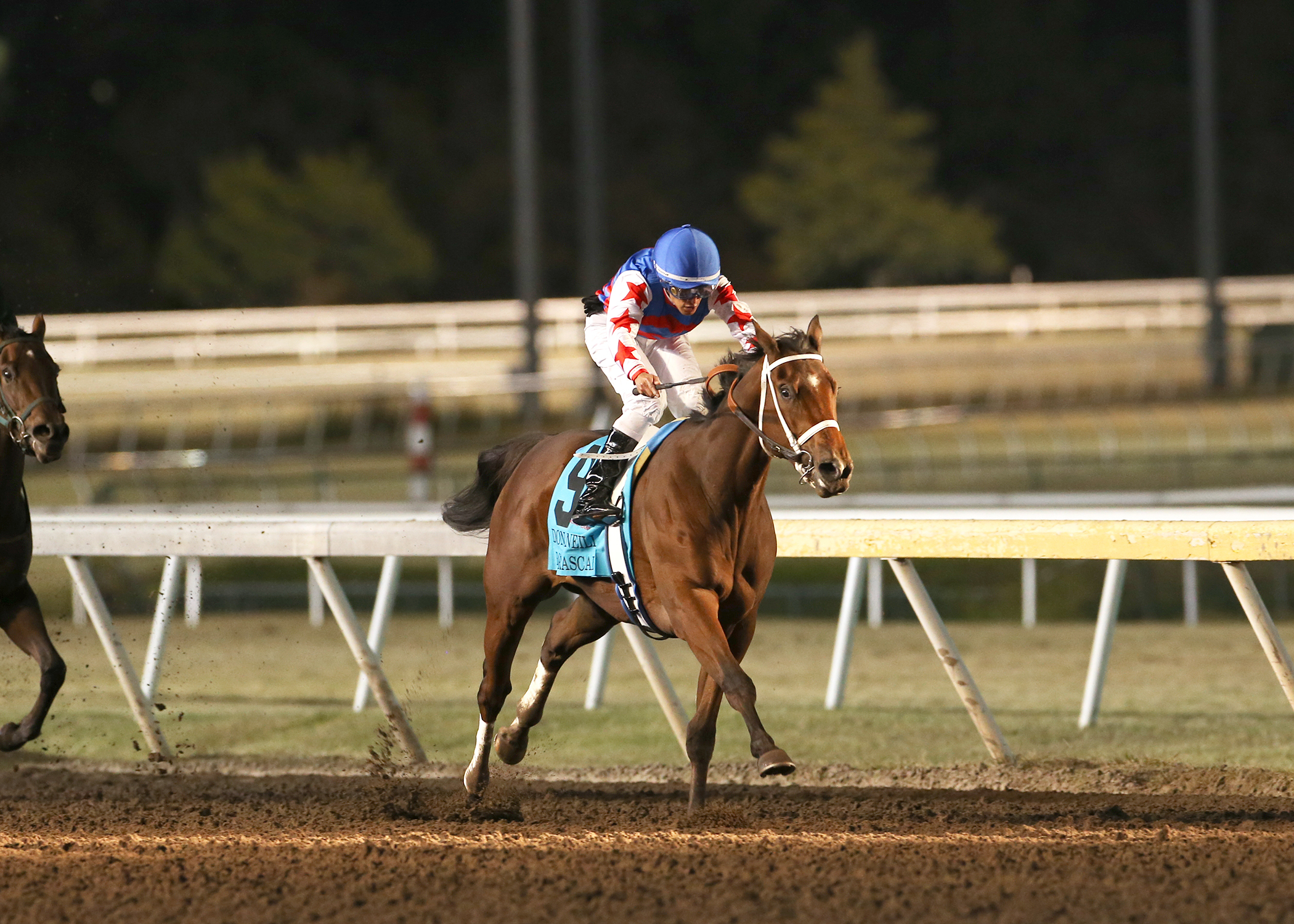 Rowdy Rascal wins the Don McNeill Stakes at Remington on Nov 12 2021