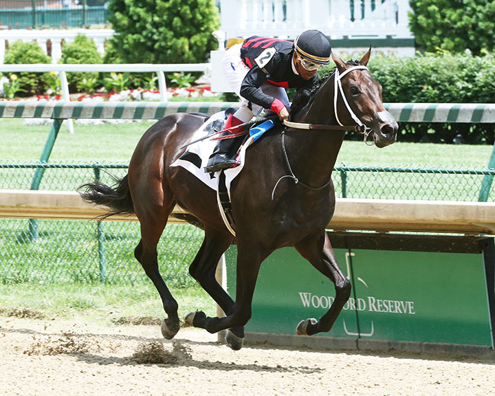 Rowdy Yates wins a May 31 maiden race