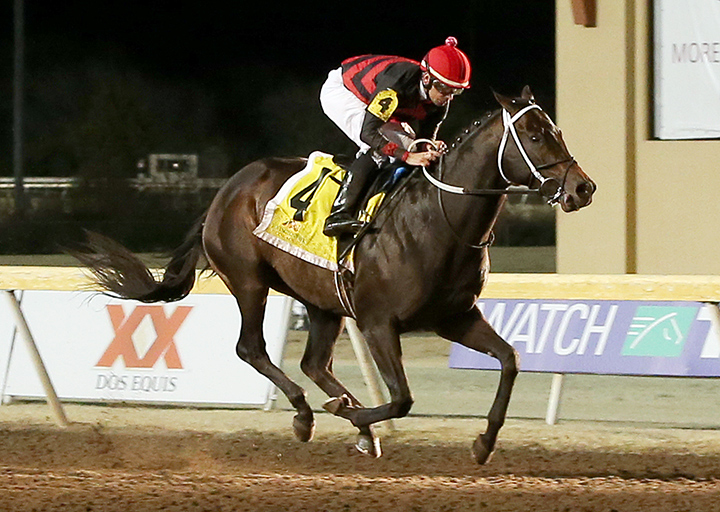Rowdy Yates wins the 2019 Don McNeil Memorial at Remington Park