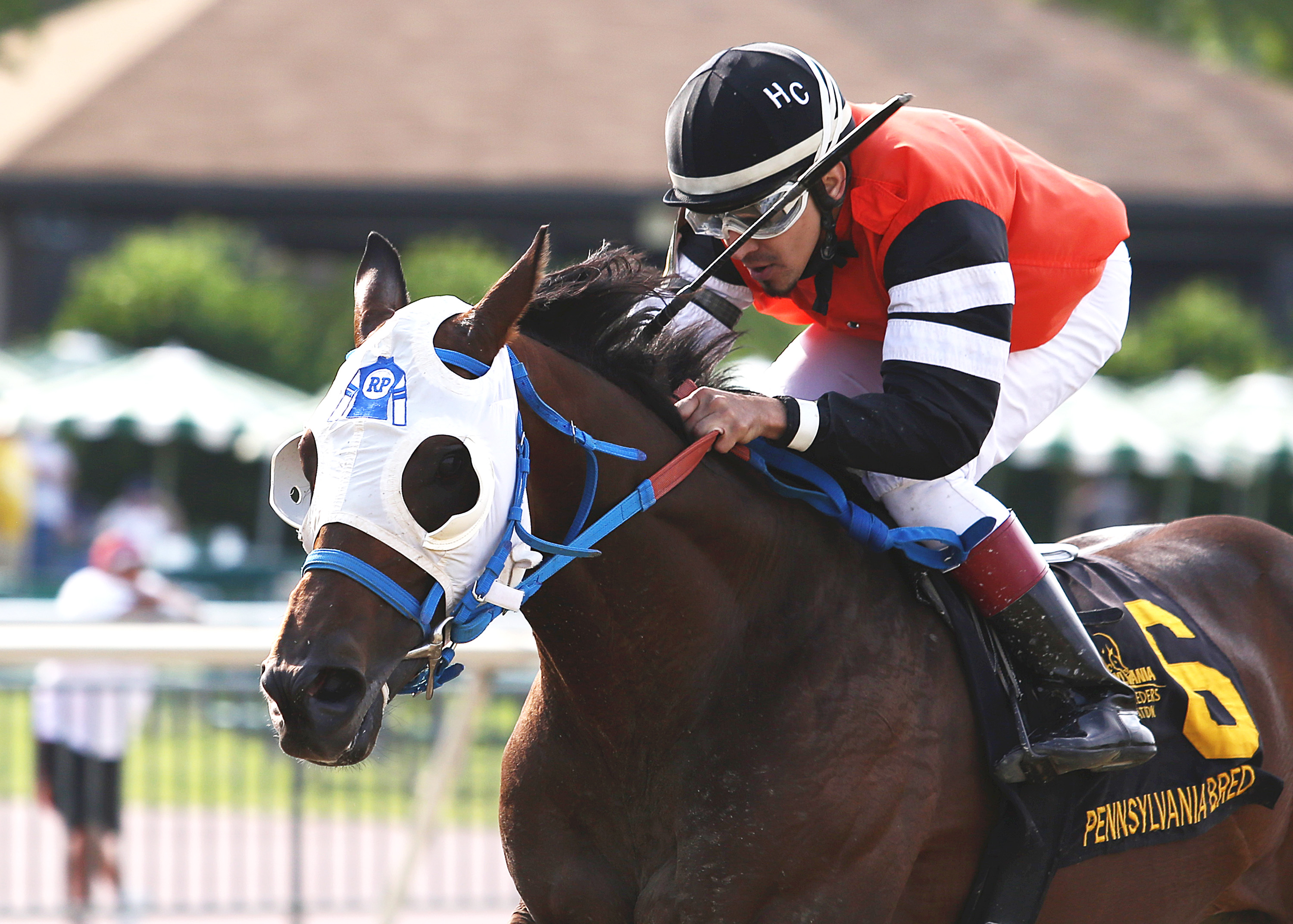 Roxbury N Overton wins the Lyman Stakes