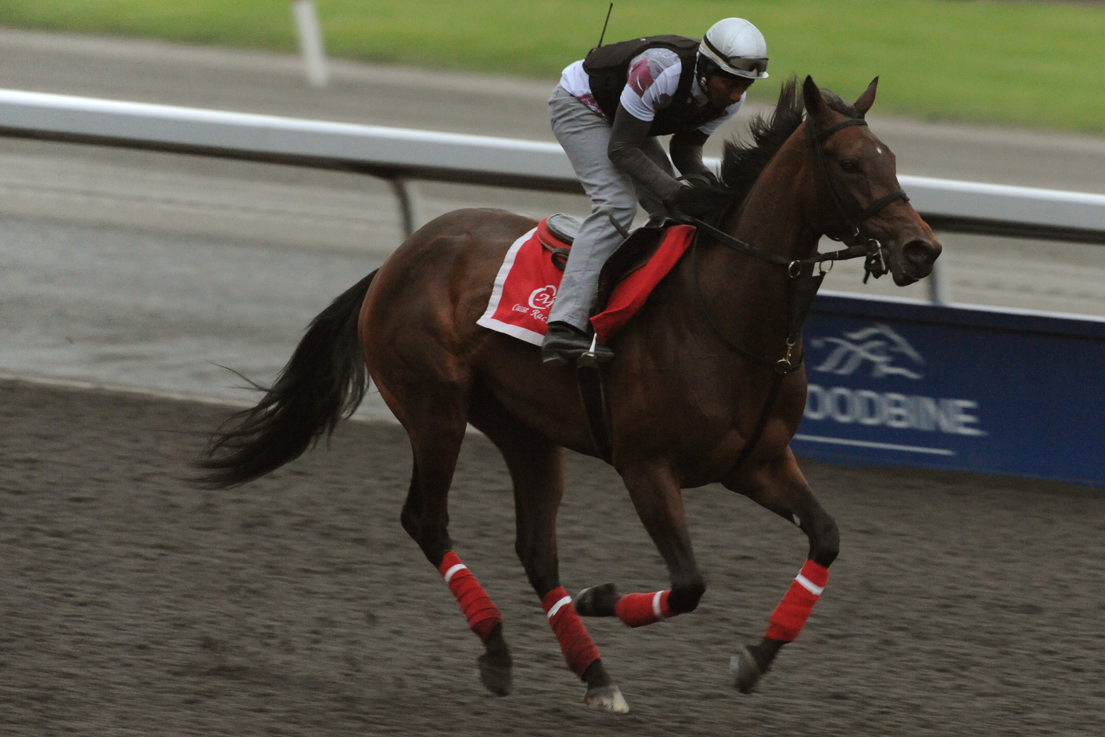 Melnyk shifts focus, selling mares at Fasig-Tipton