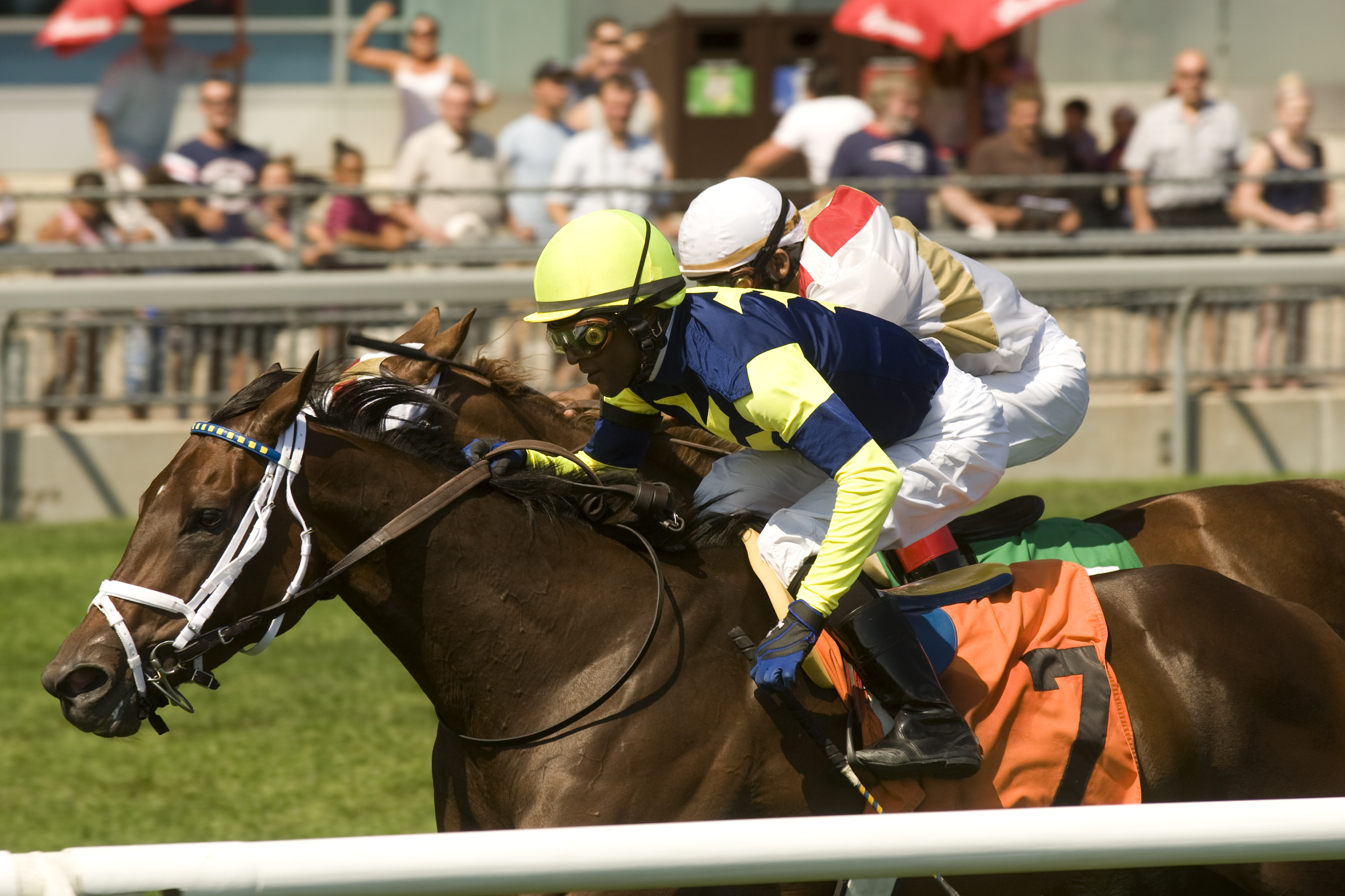 Roxy Gap/Royal North Stakes