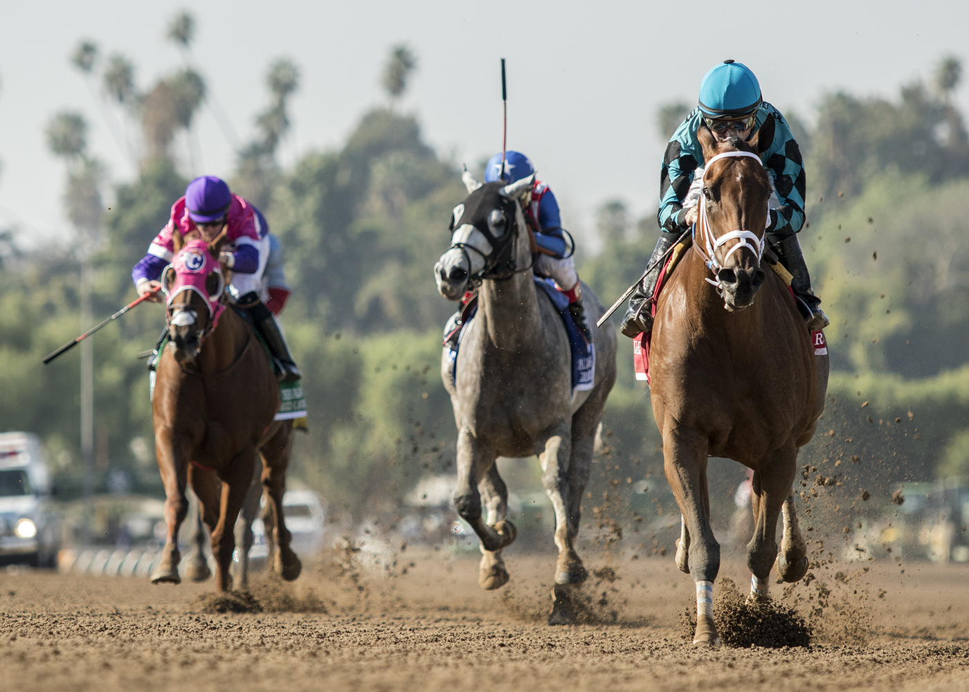 Roy H wins the 2018 Palo Verdes