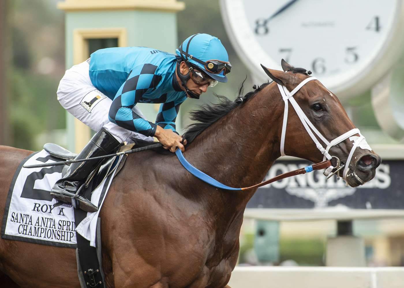 Roy H wins 2018 Santa Anita Sprint Championship