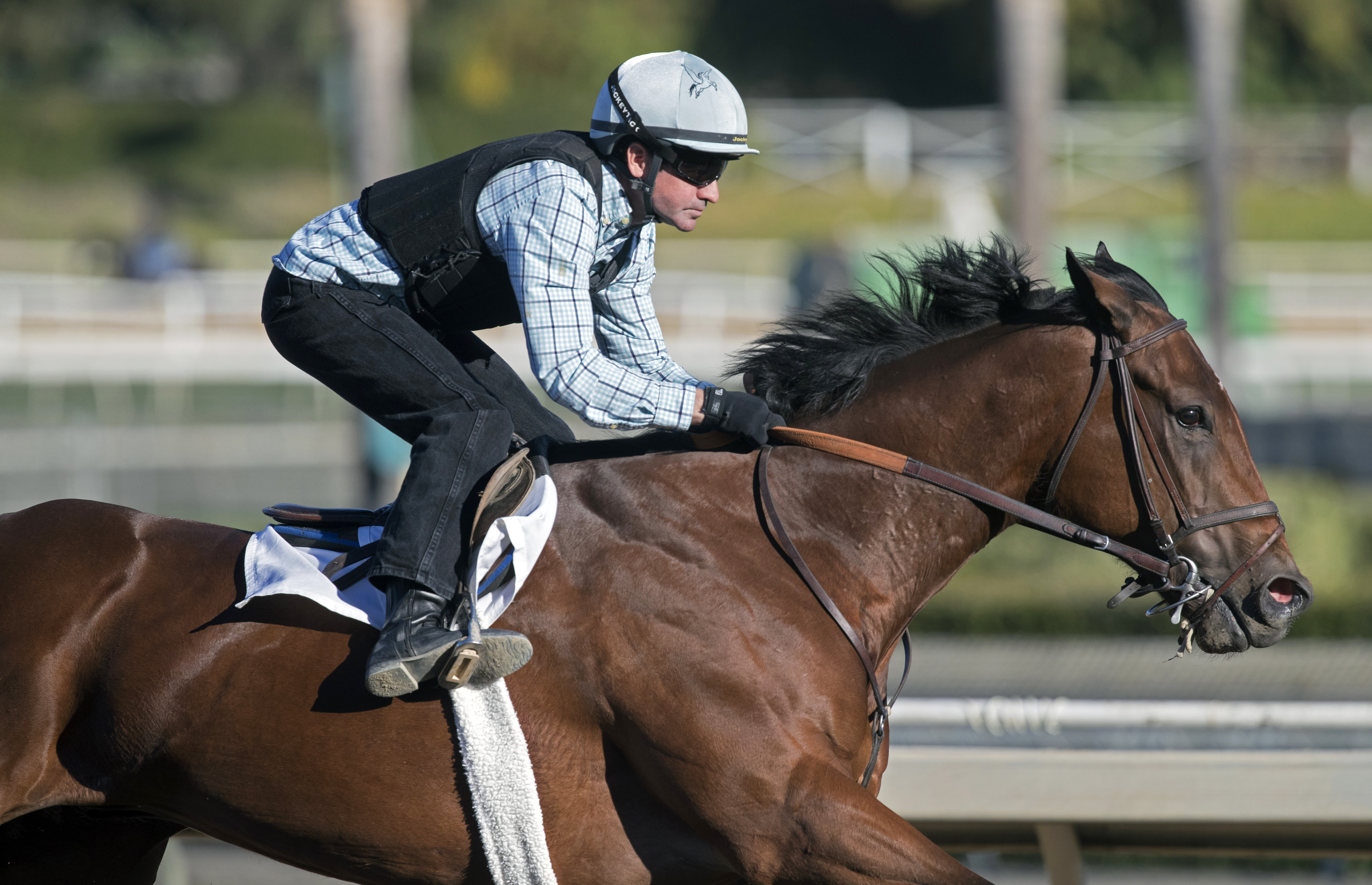 Roy H trains at Santa Anita on Dec. 29