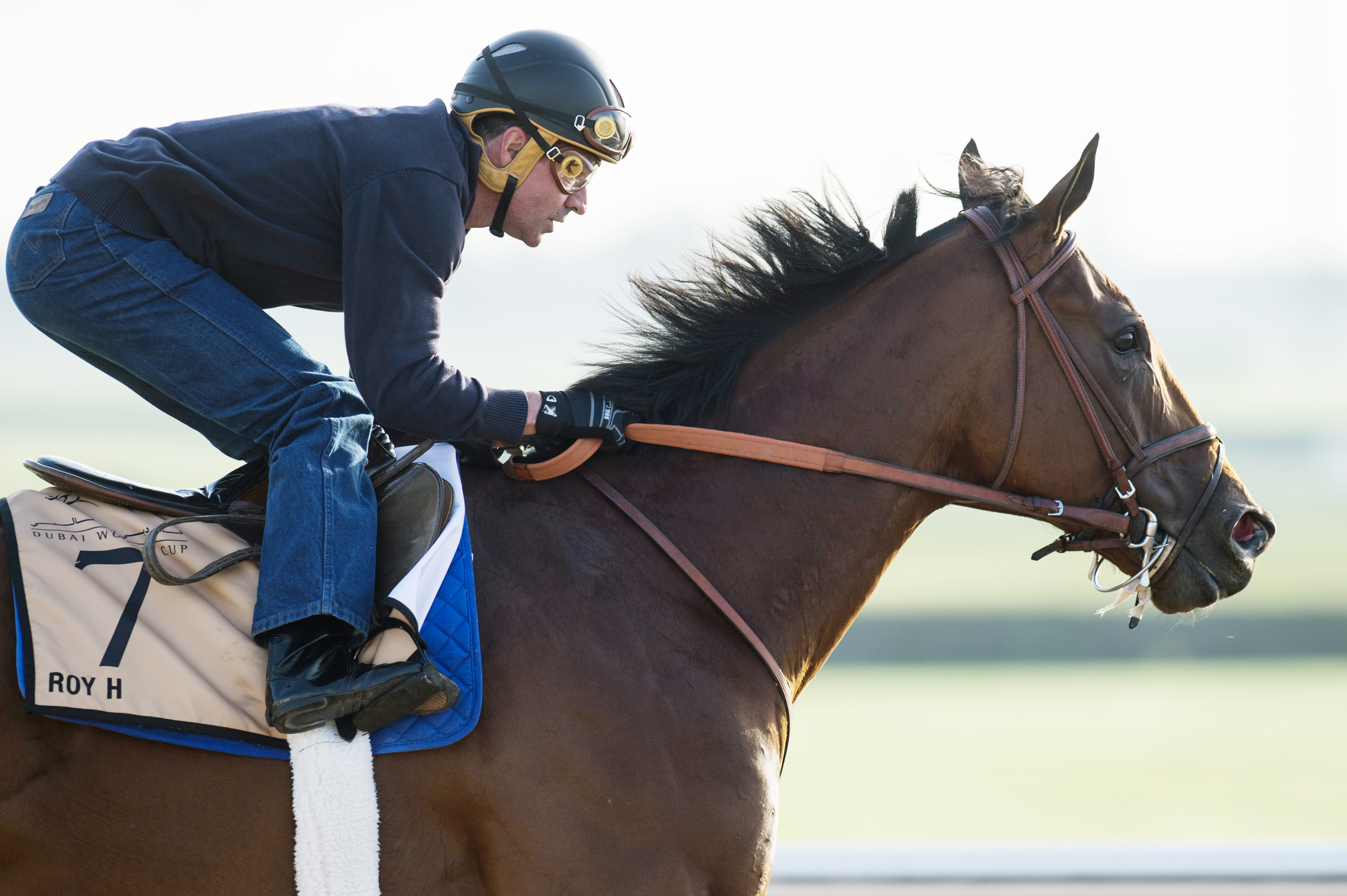 Roy H trains at Meydan on March 27