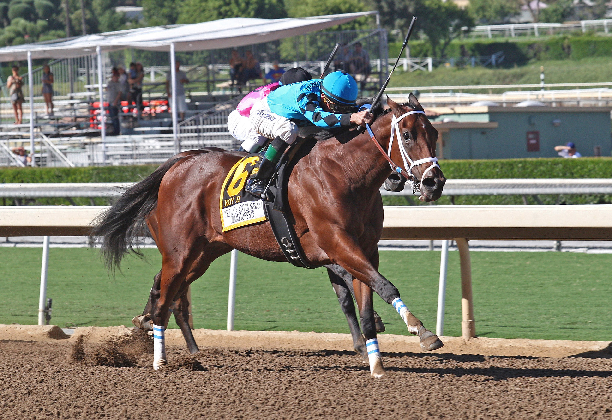 Roy H wins the 2017 Santa Anita Sprint Championship