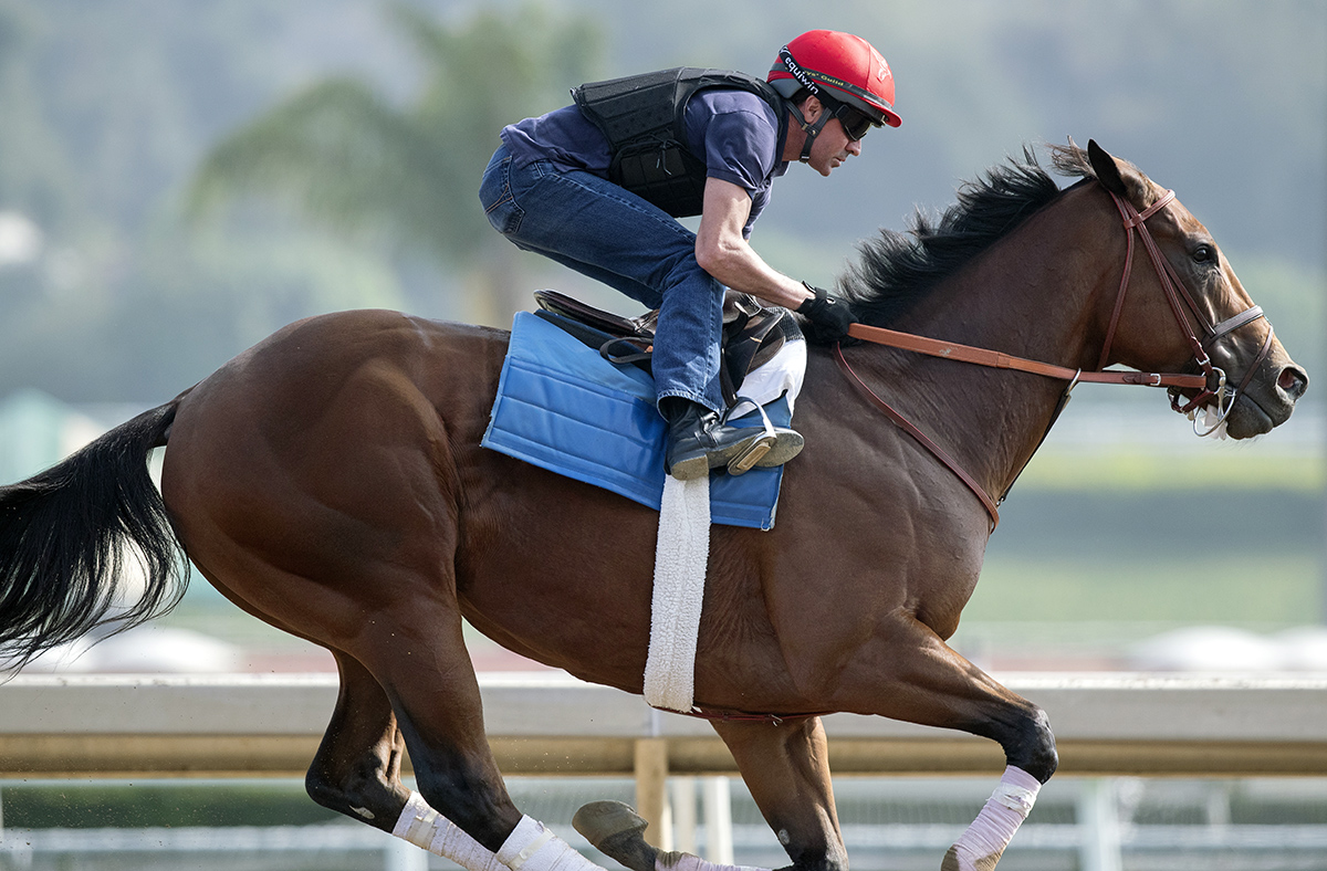 Roy H trains at Santa Anita on June 22