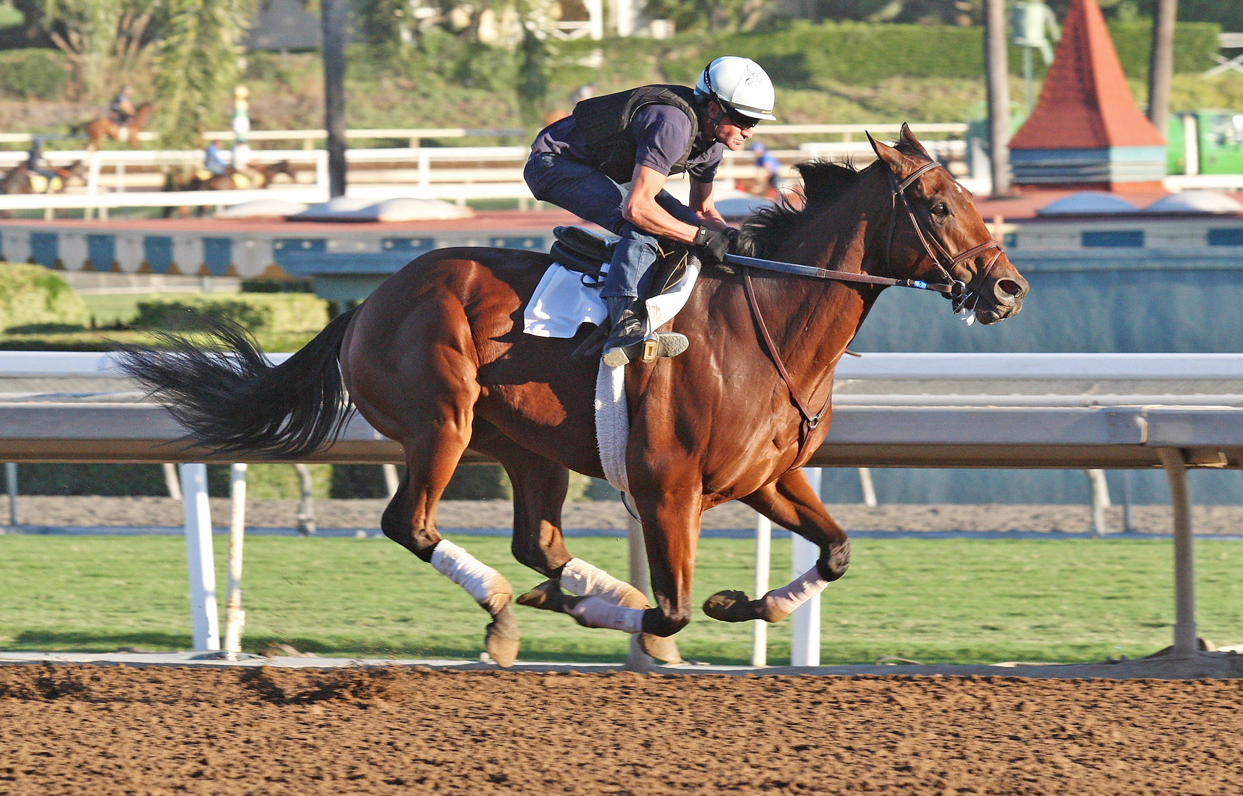 Roy H trains at Santa Anita on Oct. 25