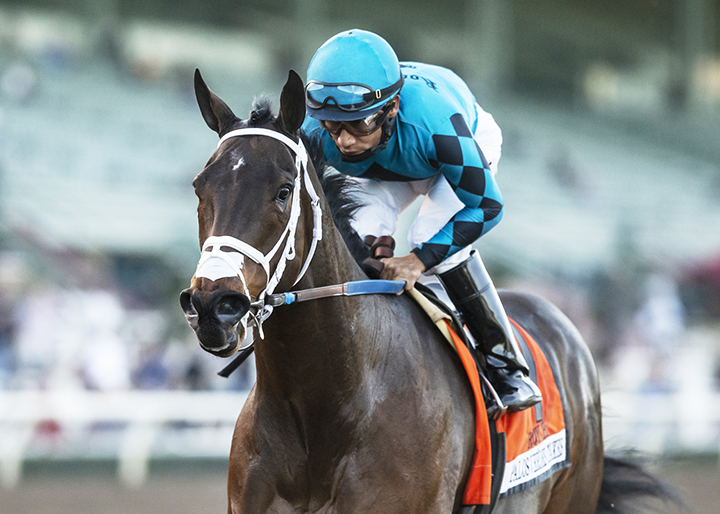 Roy H wins the 2019 Palos Verdes Stakes at Santa Anita Park
