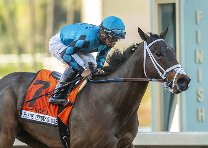 Roy H wins the Palos Verdes Stakes